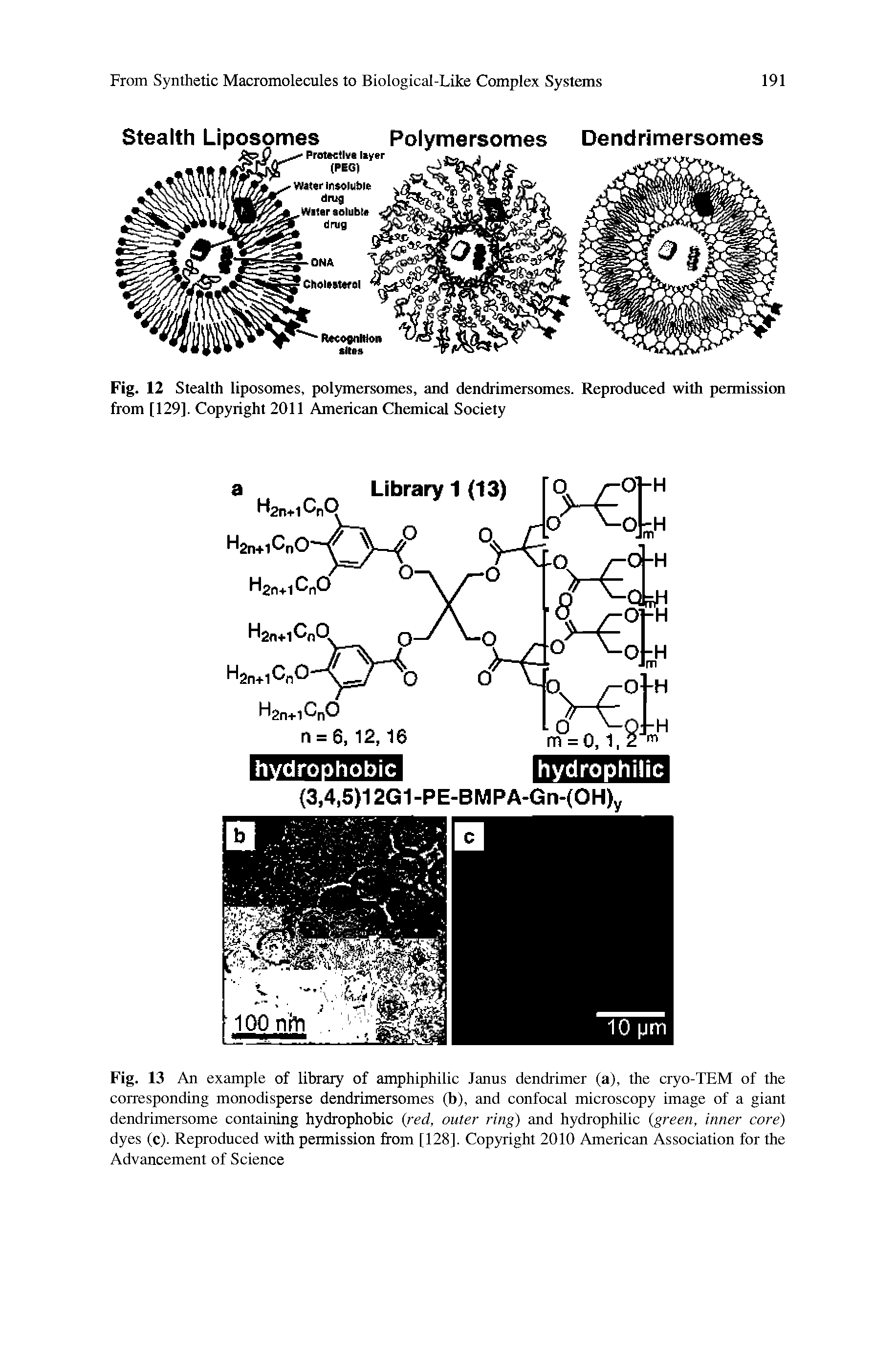 Fig. 13 An example of library of amphiphilic Janus dendrimer (a), the cryo-TEM of the corresponding monodisperse dendrimersomes (b), and confocal microscopy image of a giant dendrimersome containing hydrophobic (red, outer ring) and hydrophilic (green, inner core) dyes (c). Reproduced with permission from [128]. Copyright 2010 American Association for the Advancement of Science...