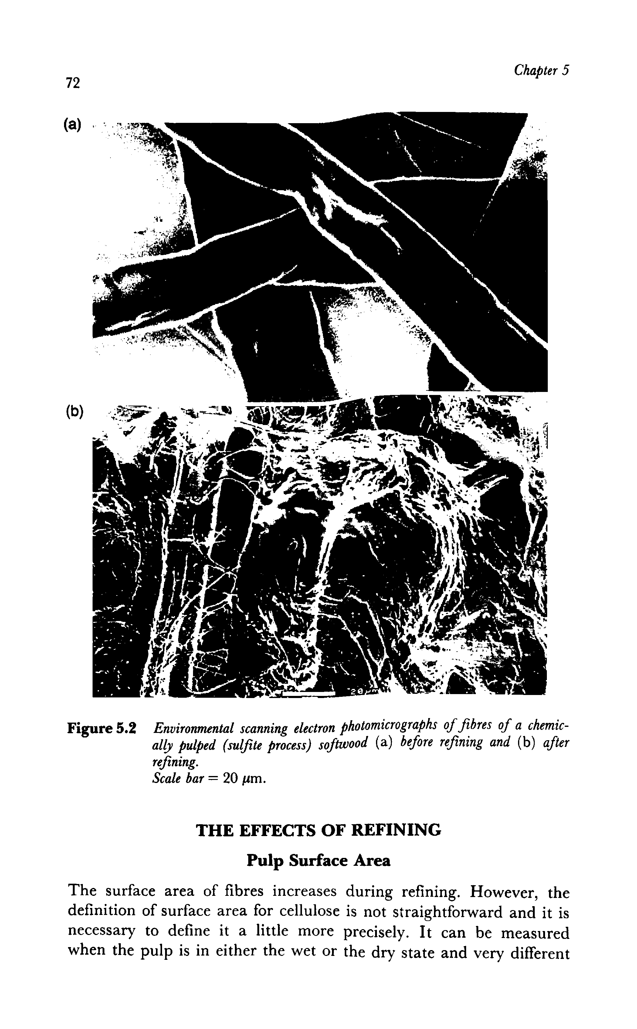 Figure 5.2 Environmental scanning electron photomicrographs of fibres of a chemically pulped (sulfite process) softwood (a) before refining and (b) after refining.