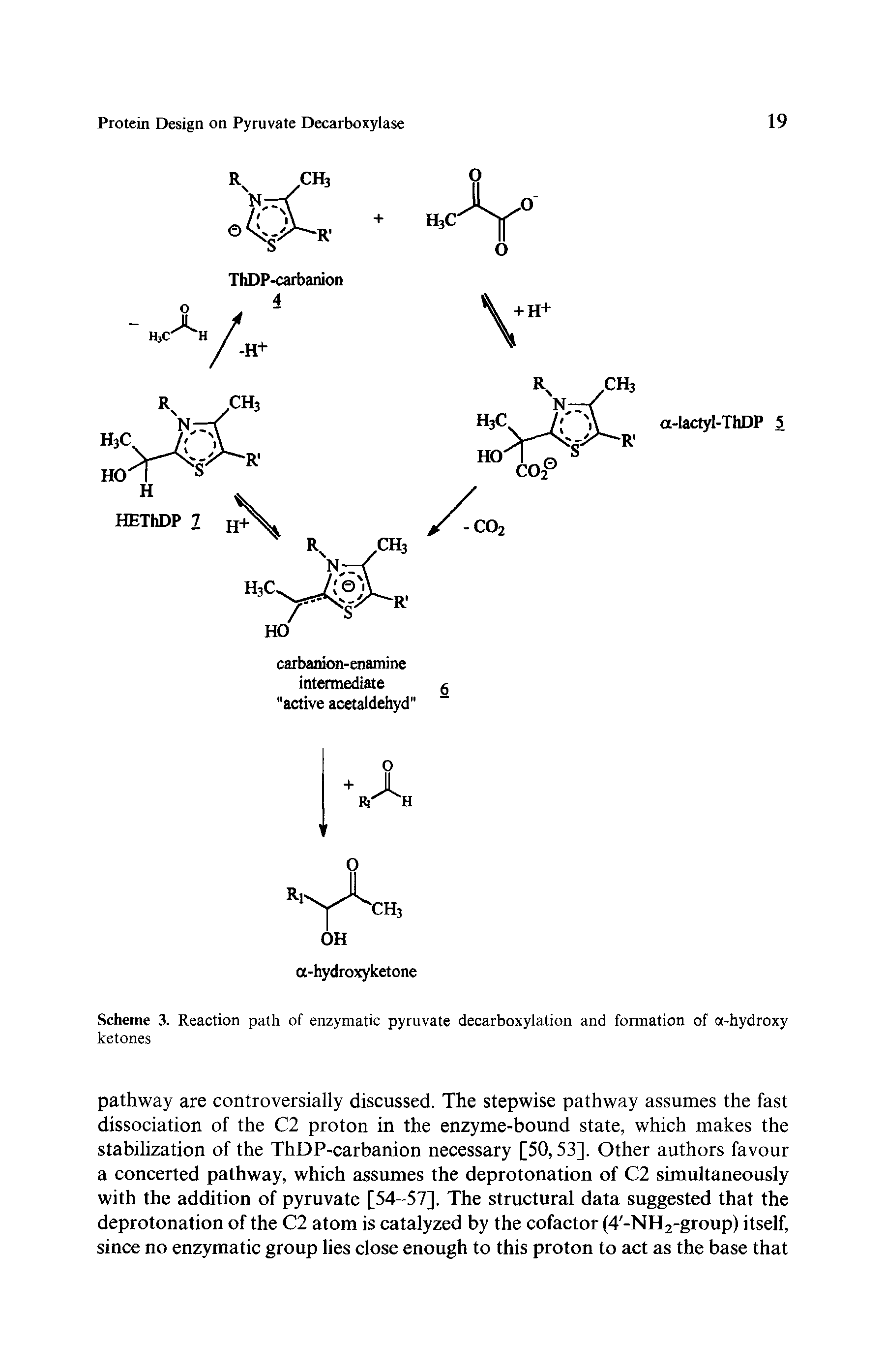 Scheme 3. Reaction path of enzymatic pyruvate decarboxylation and formation of a-hydroxy ketones...