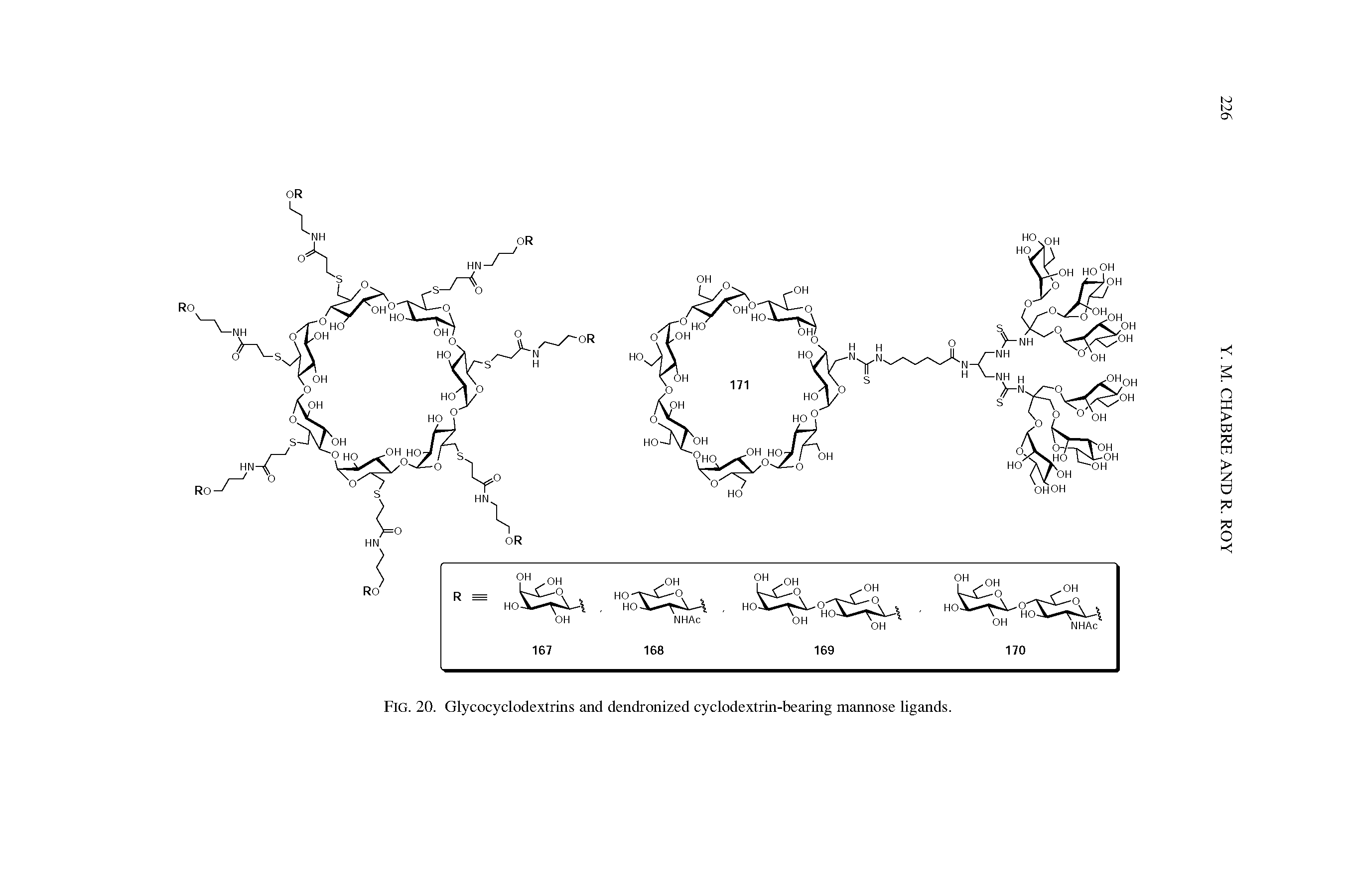 Fig. 20. Glycocyclodextrins and dendronized cyclodextrin-bearing mannose ligands.