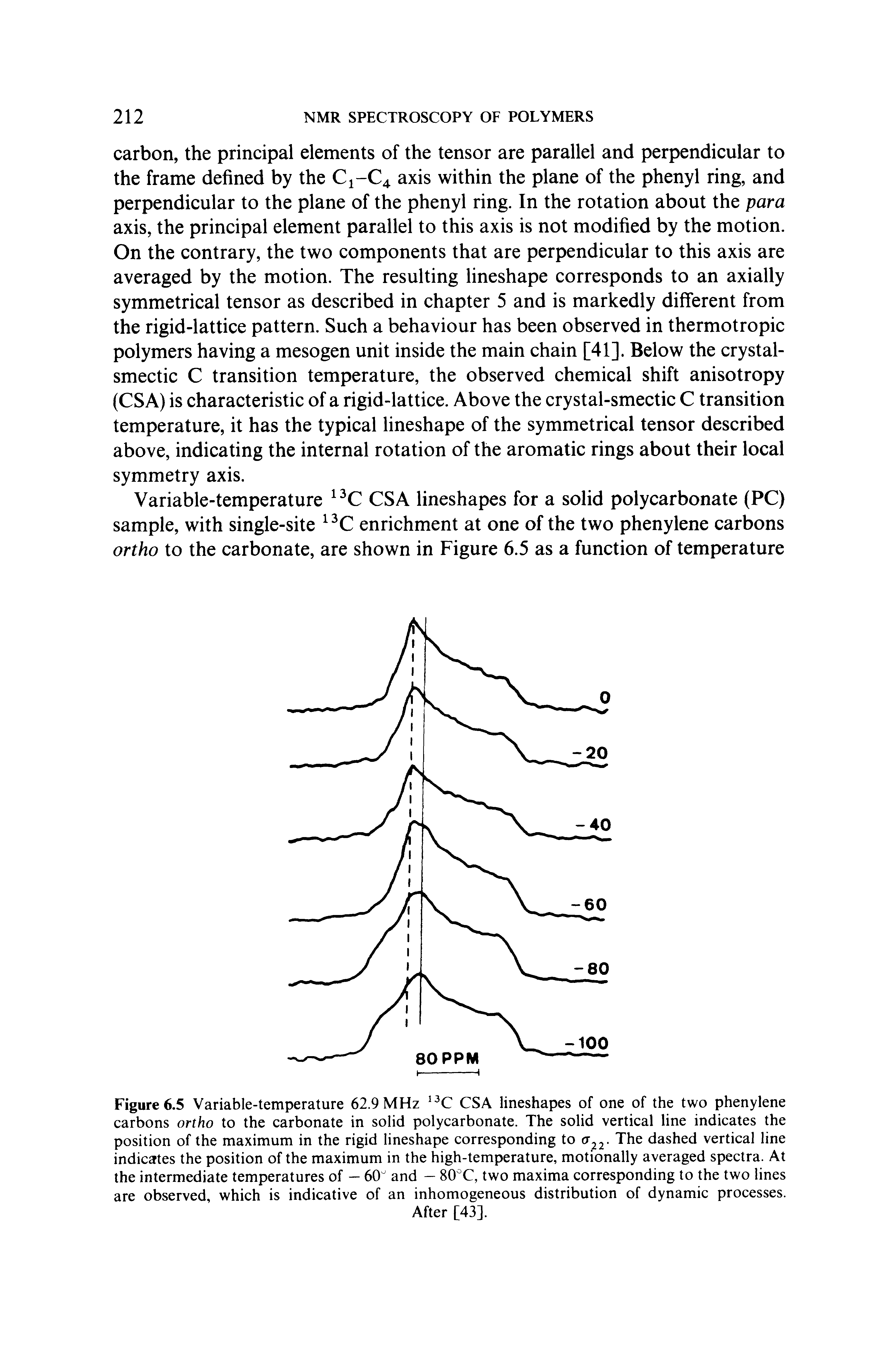 Figure 6.5 Variable-temperature 62.9 MHz CSA lineshapes of one of the two phenylene carbons ortho to the carbonate in solid polycarbonate. The solid vertical line indicates the position of the maximum in the rigid lineshape corresponding to The dashed vertical line indicates the position of the maximum in the high-temperature, motionally averaged spectra. At the intermediate temperatures of — 60" and — 80"C, two maxima corresponding to the two lines are observed, which is indicative of an inhomogeneous distribution of dynamic processes.