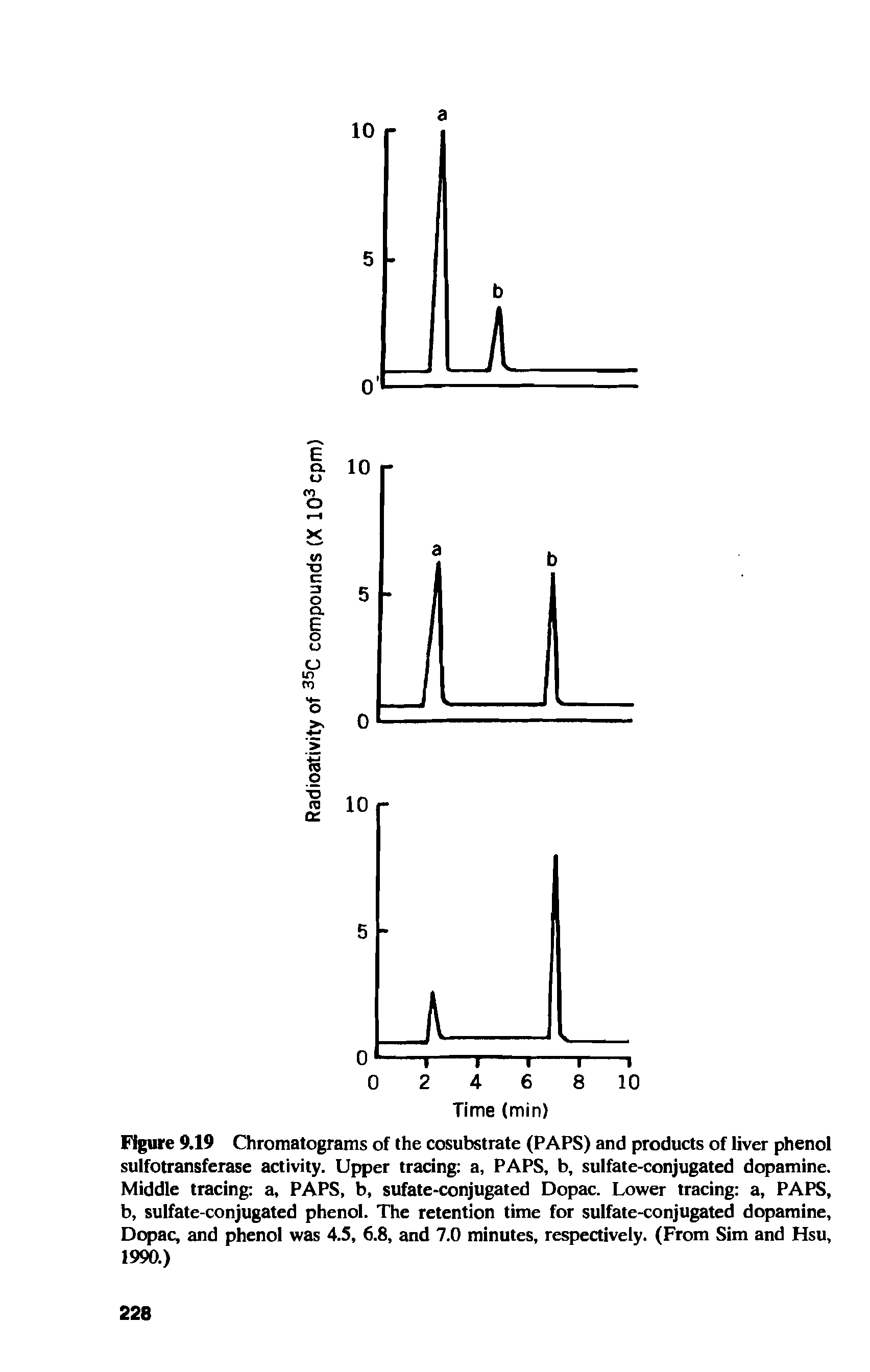 Figure 9,19 Chromatograms of the cosubstrate (PAPS) and products of liver phenol sulfotransferase activity. Upper tracing a, PAPS, b, sulfate-conjugated dopamine. Middle tracing a, PAPS, b, sufate-conjugated Dopac. Lower tracing a, PAPS, b, sulfate-conjugated phenol. The retention time for sulfate-conjugated dopamine, Dopac, and phenol was 4.5, 6.8, and 7.0 minutes, respectively. (From Sim and Hsu, 1990.)...