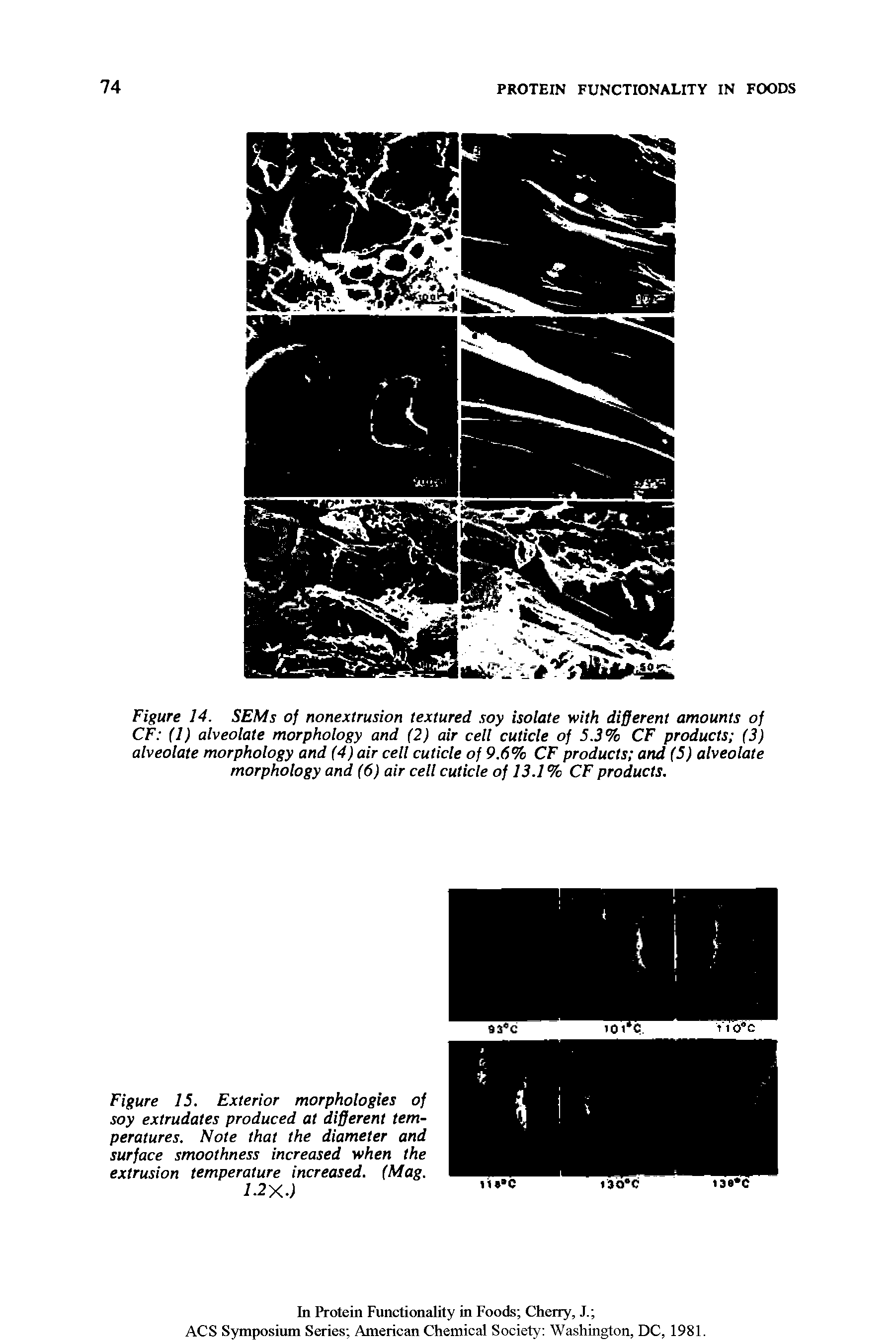 Figure 15. Exterior morphologies of soy extrudates produced at different temperatures. Note that the diameter and surface smoothness increased when the extrusion temperature increased. (Mag.