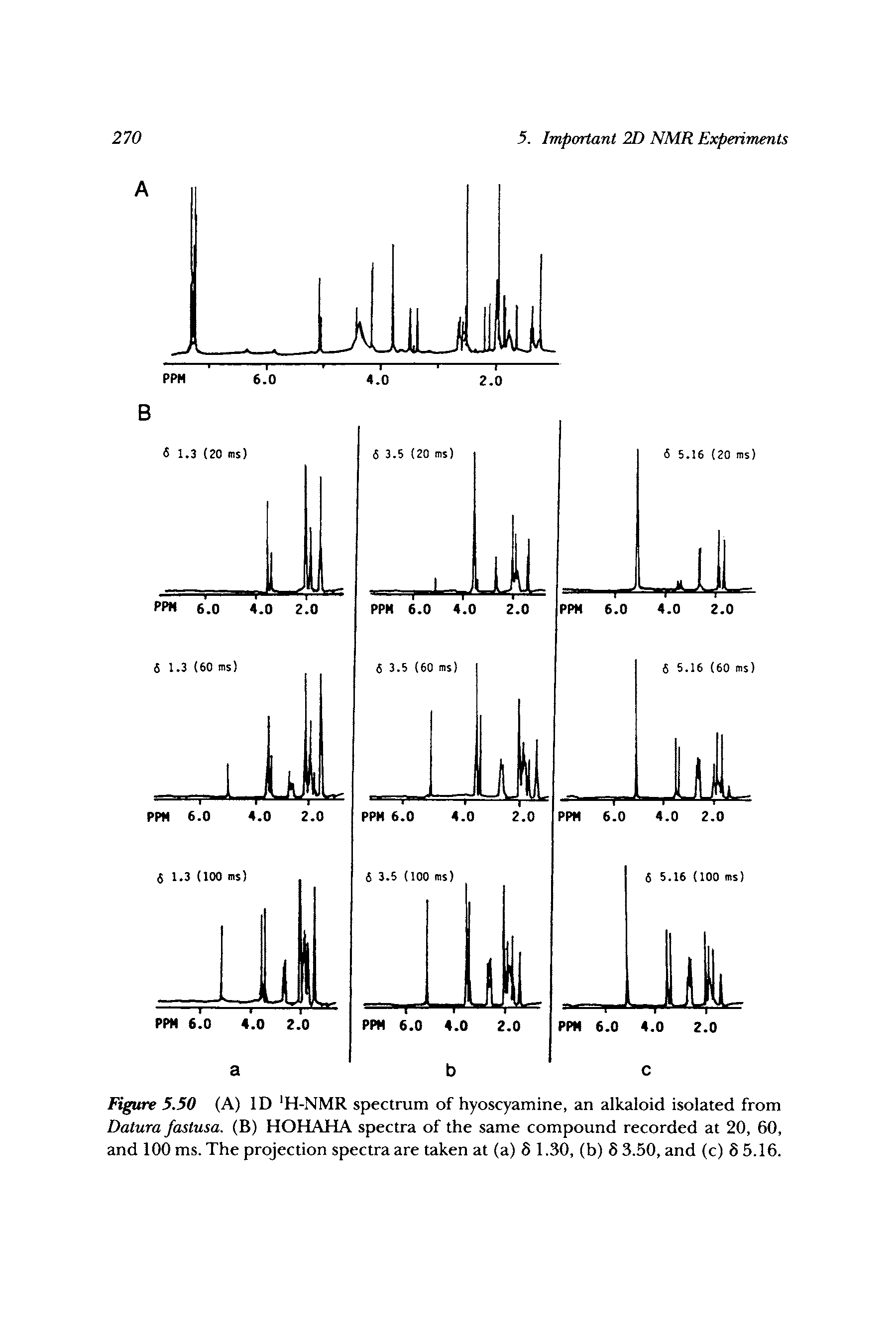 Figure 5.50 (A) ID H-NMR spectrum of hyoscyamine, an alkaloid isolated from Datura fastusa. (B) HOHAHA spectra of the same compound recorded at 20, 60, and 100 ms. The projection spectra are taken at (a) 8 1.30, (b) 8 3.50, and (c) 8 5.16.