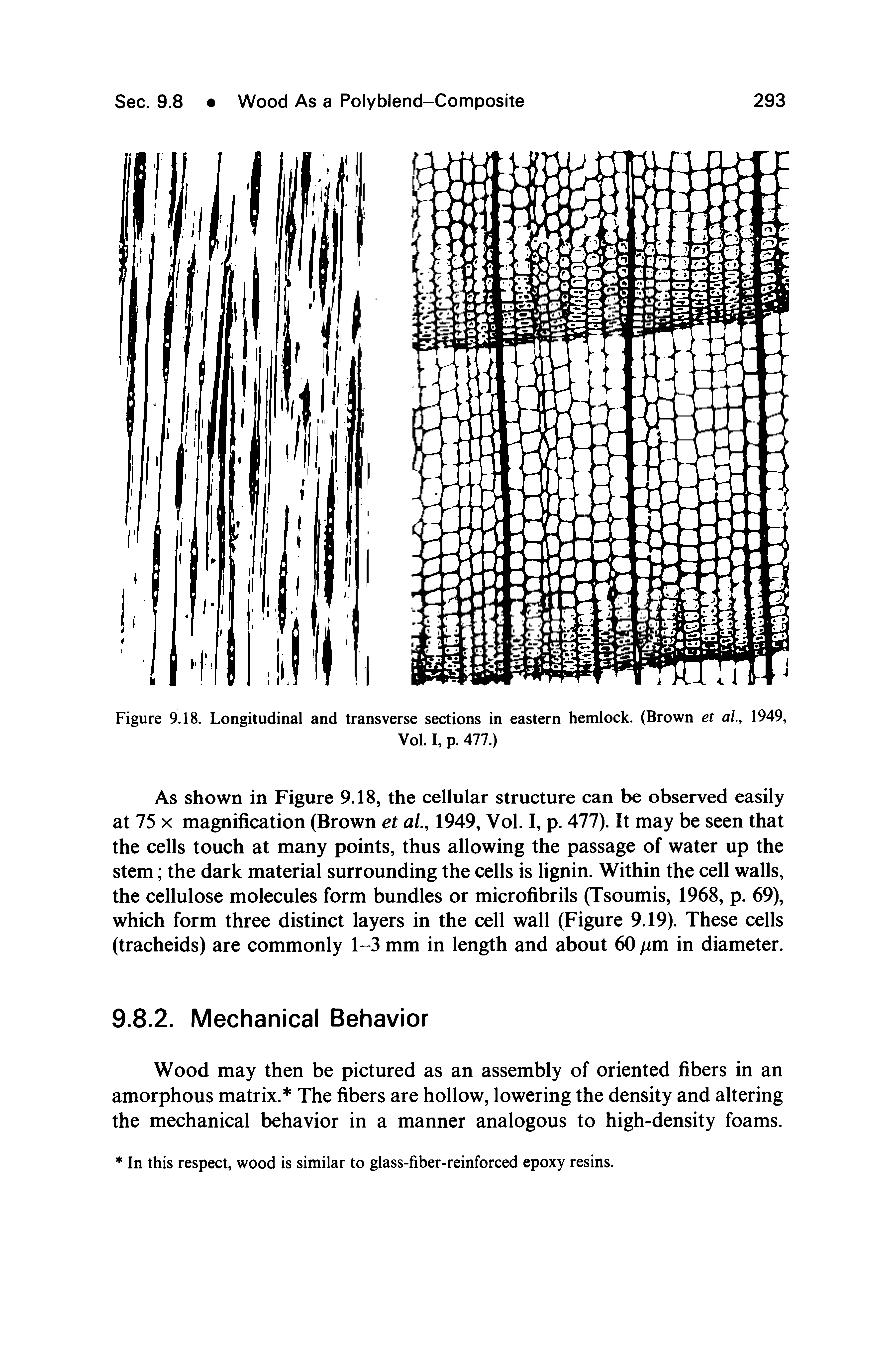 Figure 9.18. Longitudinal and transverse sections in eastern hemlock. (Brown et al, 1949,...