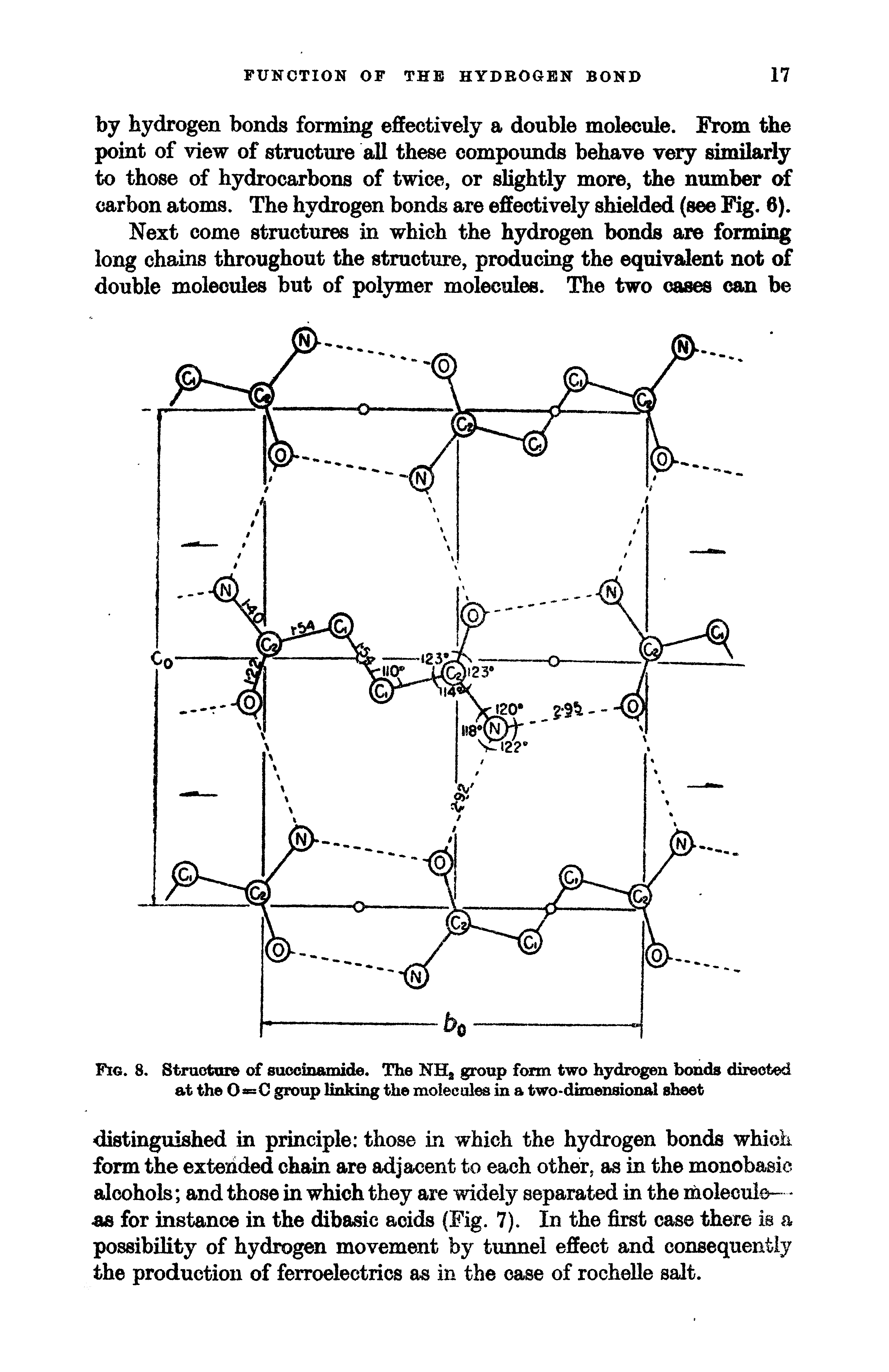 Fig. 8. Structure of succinamide. The NHa group form two hydrogen bonds directed at the 0 =C group linking the molecules in a two-dimensional sheet...