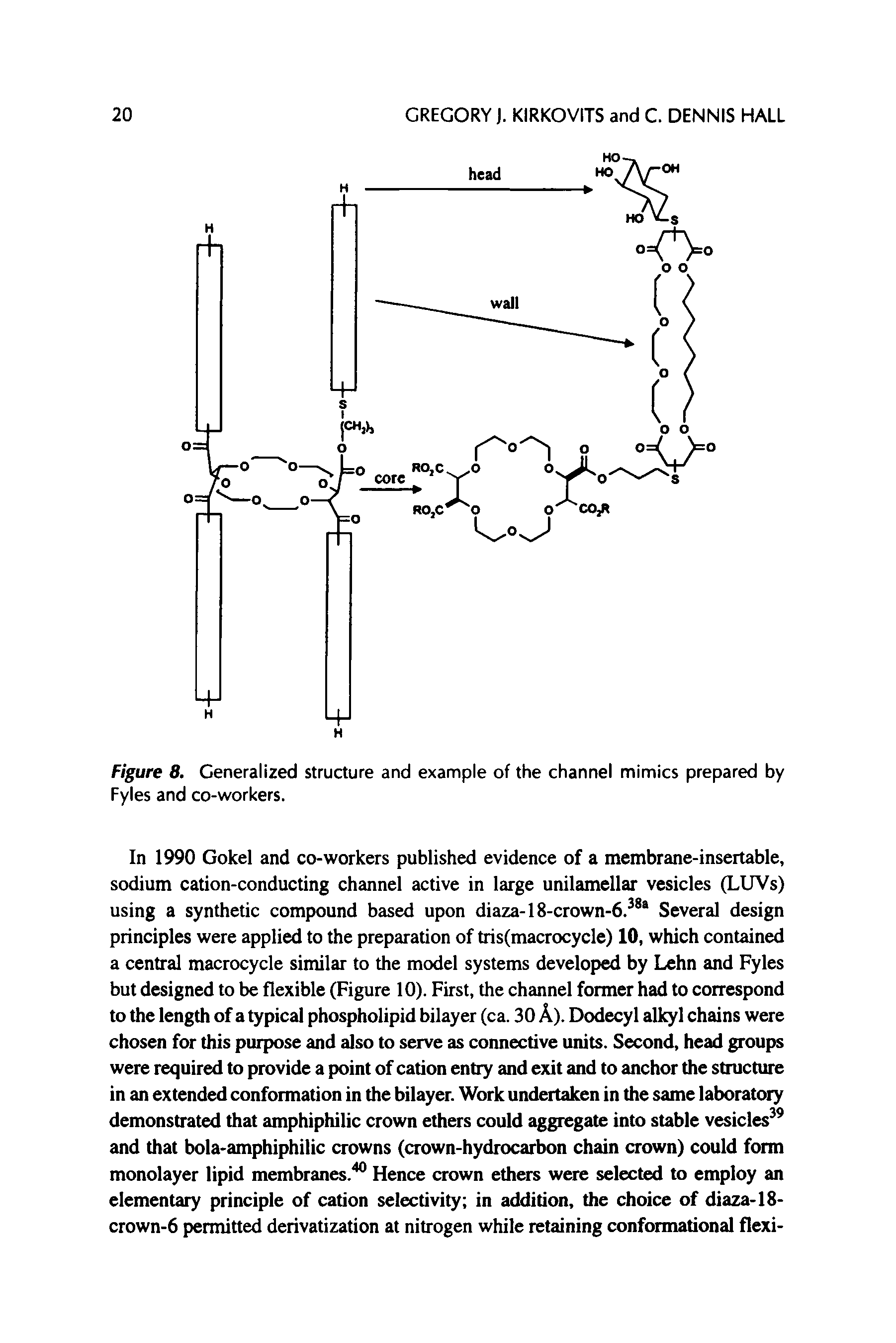 Figure 8. Generalized structure and example of the channel mimics prepared by Fyles and co-workers.