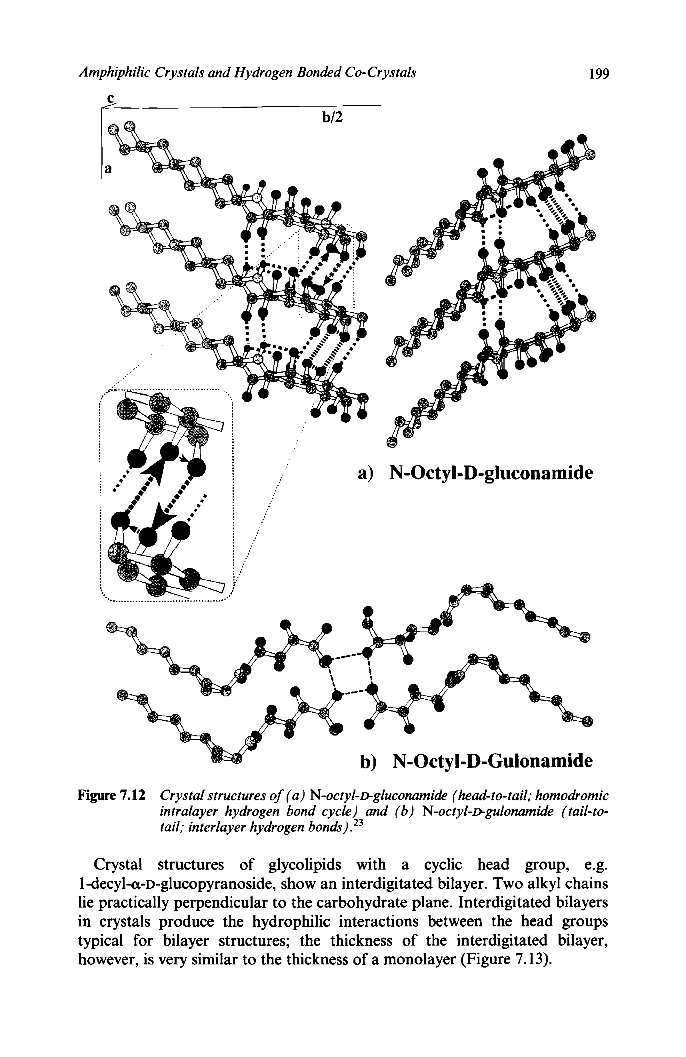 Figure 7.12 Crystal structures of (a) J -octyl-D-gluconamide (head-to-tail homodromic intralayer hydrogen bond cycle) and (b) bi-octyl-i>gulonamide (tail-to-tail interlayer hydrogen bonds)P...