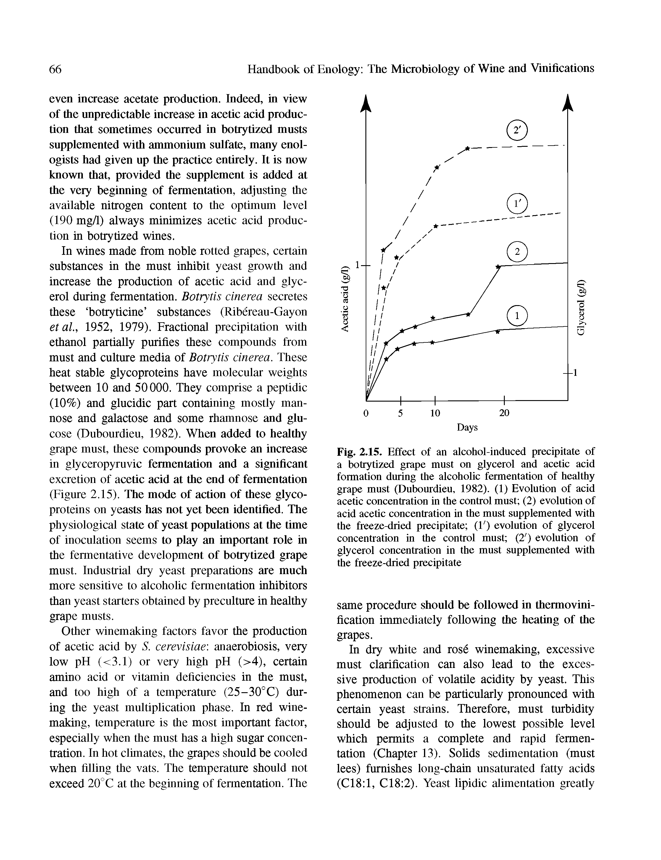 Fig. 2.15. Effect of an alcohol-induced precipitate of a botrytized grape must on glycerol and acetic acid formation during the alcoholic fermentation of healthy grape must (Dubourdieu, 1982). (1) Evolution of acid acetic concentration in the control must (2) evolution of acid acetic concentration in the must supplemented with the freeze-dried precipitate (1 ) evolution of glycerol concentration in the control must (2 ) evolution of glycerol concentration in the must supplemented with the freeze-dried precipitate...