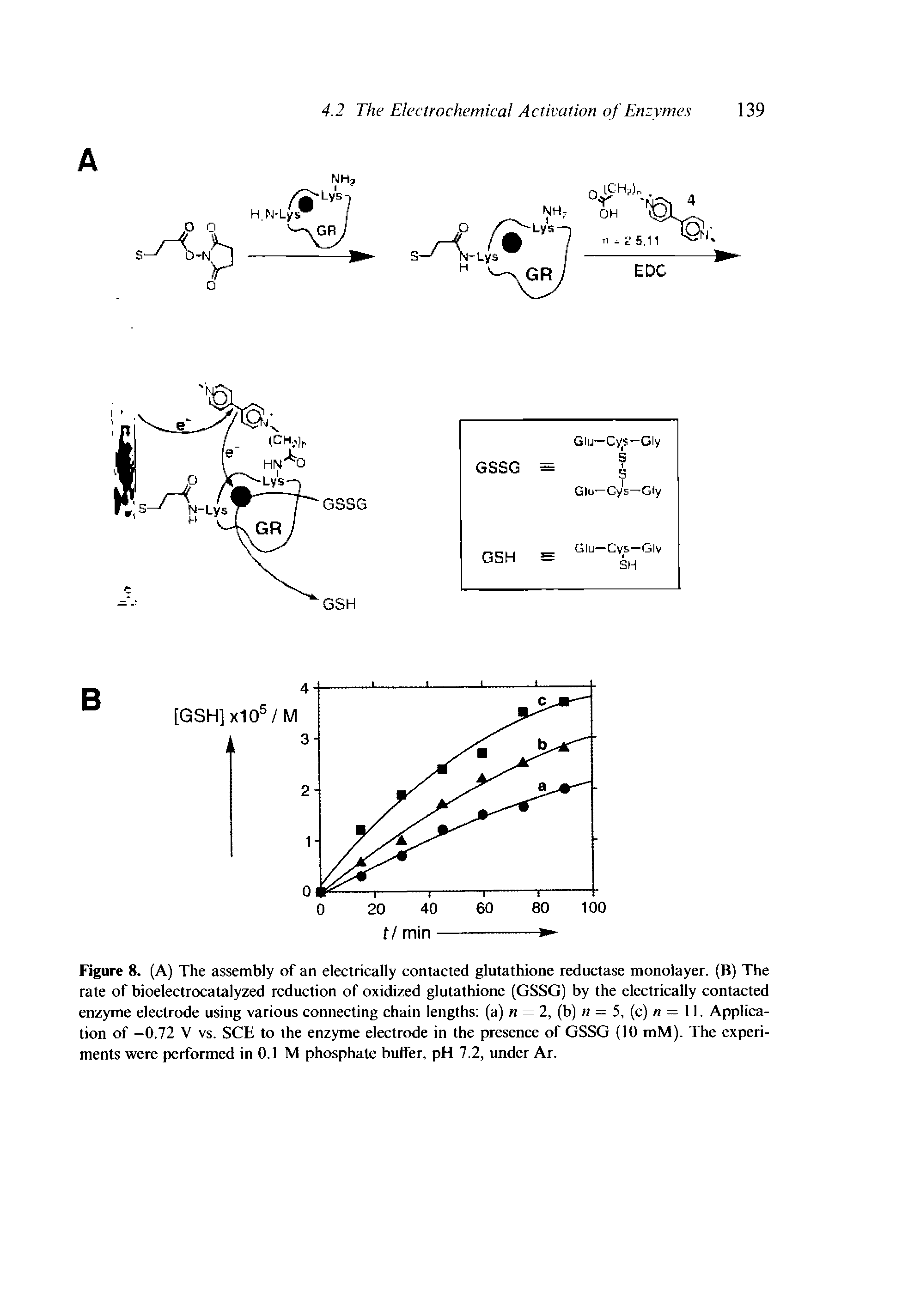Figure 8. (A) The assembly of an electrically contacted glutathione reductase monolayer. (B) The rate of bioelectrocatalyzed reduction of oxidized glutathione (GSSG) by the electrically contacted enzyme electrode using various connecting chain lengths (a) n = 2, (b) n = 5, (c) = 11. Application of -0.72 V vs. SCE to the enzyme electrode in the presence of GSSG (10 mM). The experiments were performed in 0.1 M phosphate buffer, pH 7.2, under Ar.