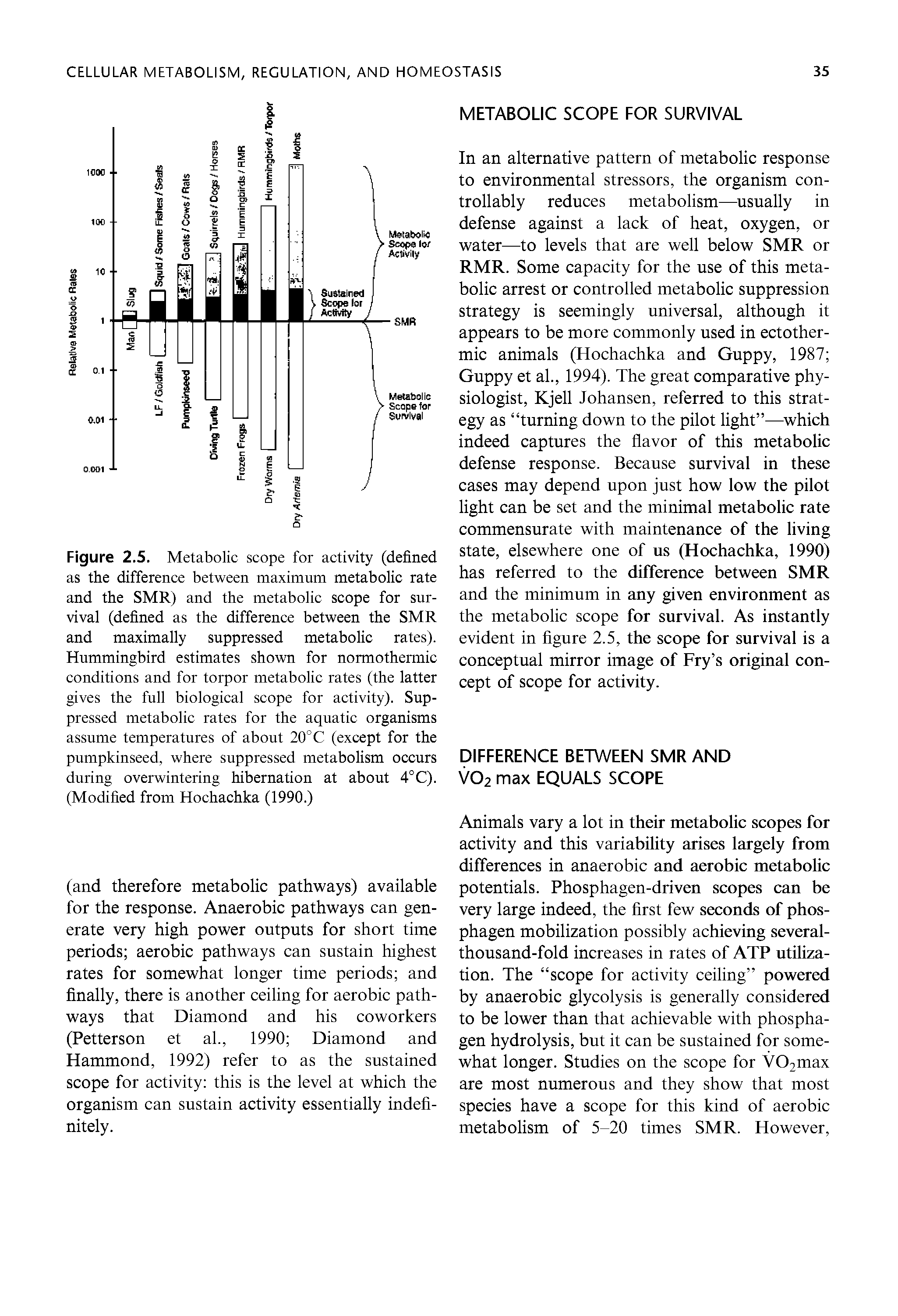 Figure 2.5. Metabolic scope for activity (defined as the difference between maximum metabolic rate and the SMR) and the metabolic scope for survival (defined as the difference between the SMR and maximally suppressed metabolic rates). Hummingbird estimates shown for normothermic conditions and for torpor metabolic rates (the latter gives the full biological scope for activity). Suppressed metabolic rates for the aquatic organisms assume temperatures of about 20°C (except for the pumpkinseed, where suppressed metabolism occurs during overwintering hibernation at about 4°C). (Modified from Hochachka (1990.)...