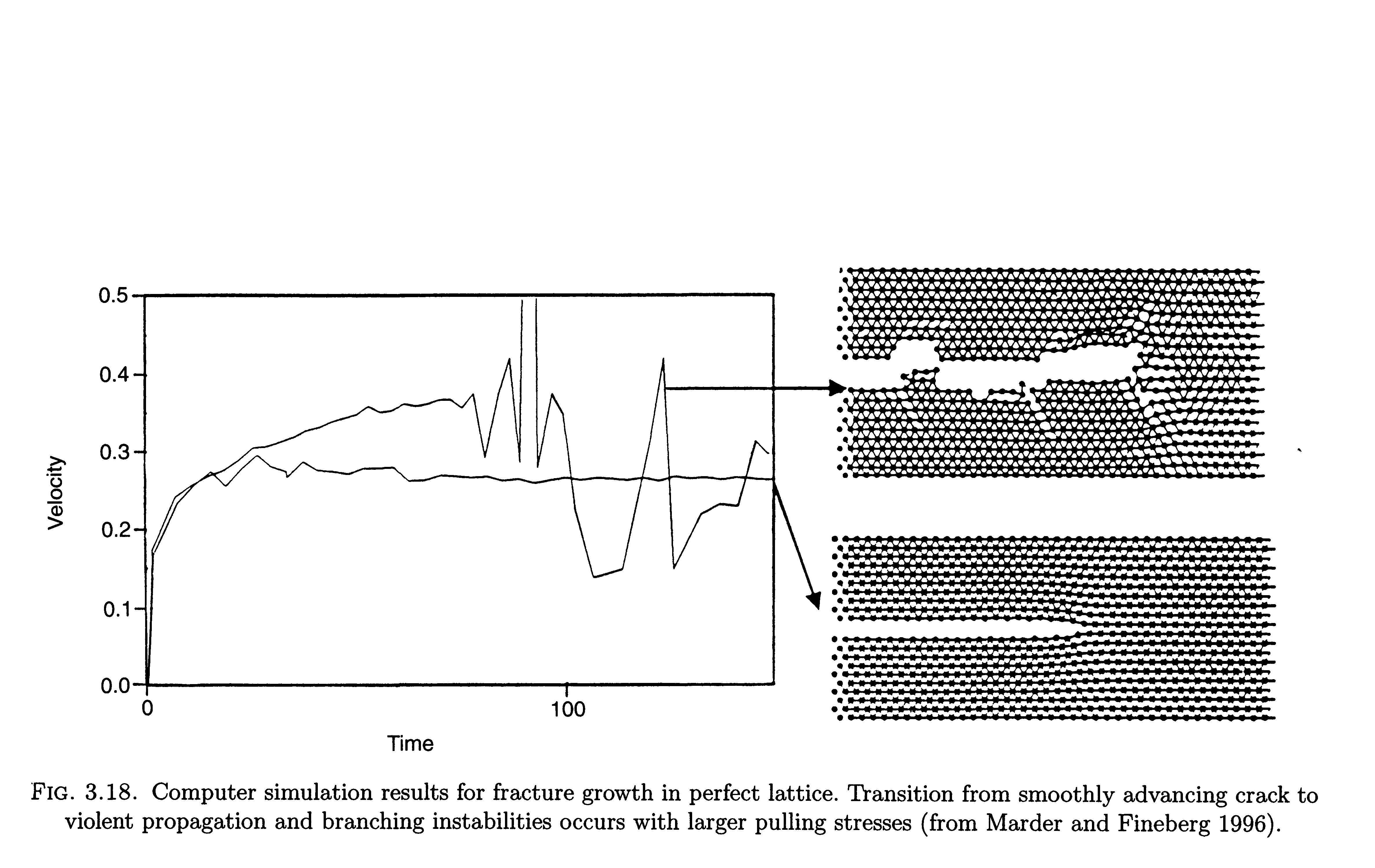 Fig. 3.18. Computer simulation results for fracture growth in perfect lattice. Transition from smoothly advancing crack to violent propagation and branching instabilities occurs with larger pulling stresses (from Marder and Fineberg 1996).