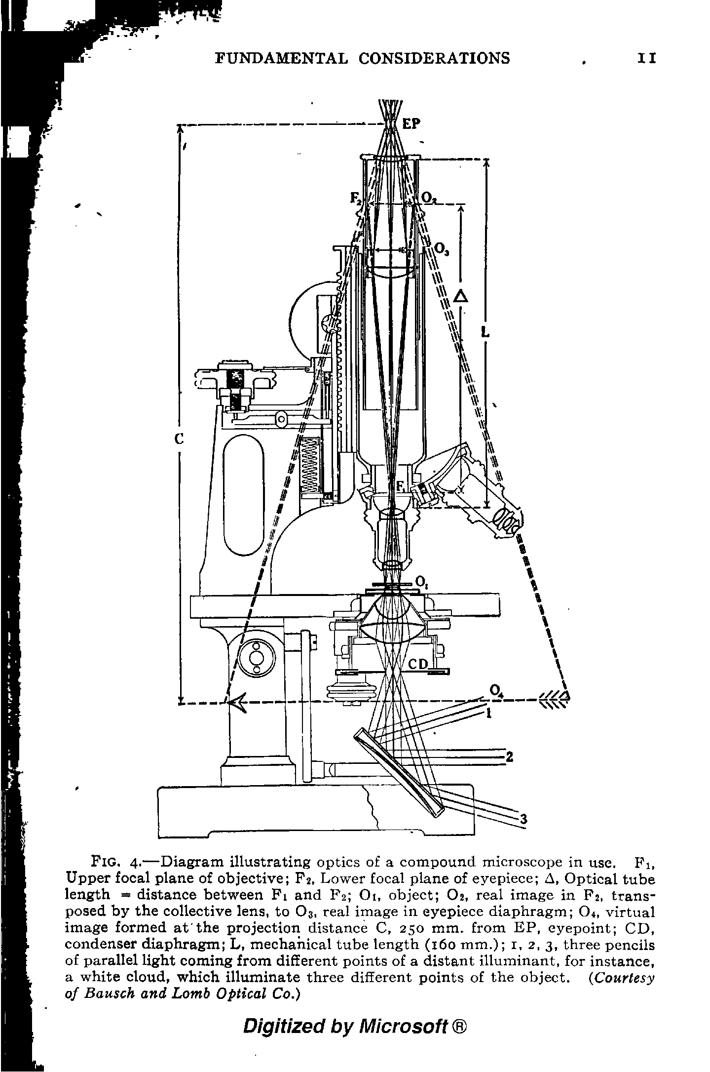 Fig. 4.—Diagram illustrating optics of a compound microscope in use. Pi, Upper focal plane of objective P2, Lower focal plane of eyepiece A, Optical tube length = distance between Fi and P2 Oi, object Os, real image in Pj, transposed by the eollective lens, to Oj, real image in eyepiece diaphragm O4, virtual image formed at the projection distance C, 250 mm. from EP, eyepoint CD, condenser diaphragm L, mechanical tube length (160 mm.) i, 2, 3, three pencils of parallel light coming from different points of a distant illuminant, for instance, a white cloud, which illuminate three different points of the object. (Courtesy of Bausch and Lomb Optical Co.)...