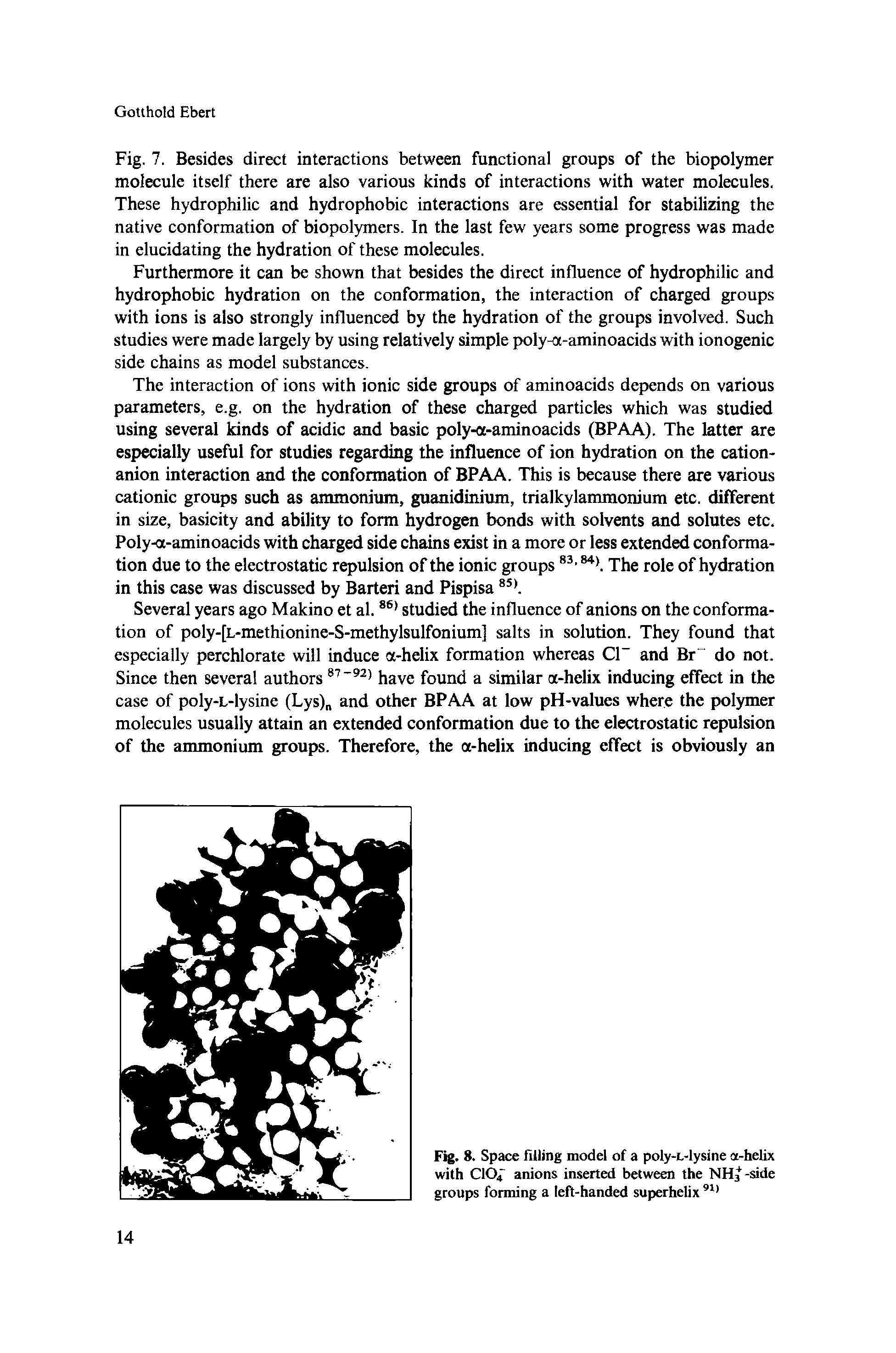 Fig. 7. Besides direct interactions between functional groups of the biopolymer molecule itself there are also various kinds of interactions with water molecules. These hydrophilic and hydrophobic interactions are essential for stabilizing the native conformation of biopolymers. In the last few years some progress was made in elucidating the hydration of these molecules.