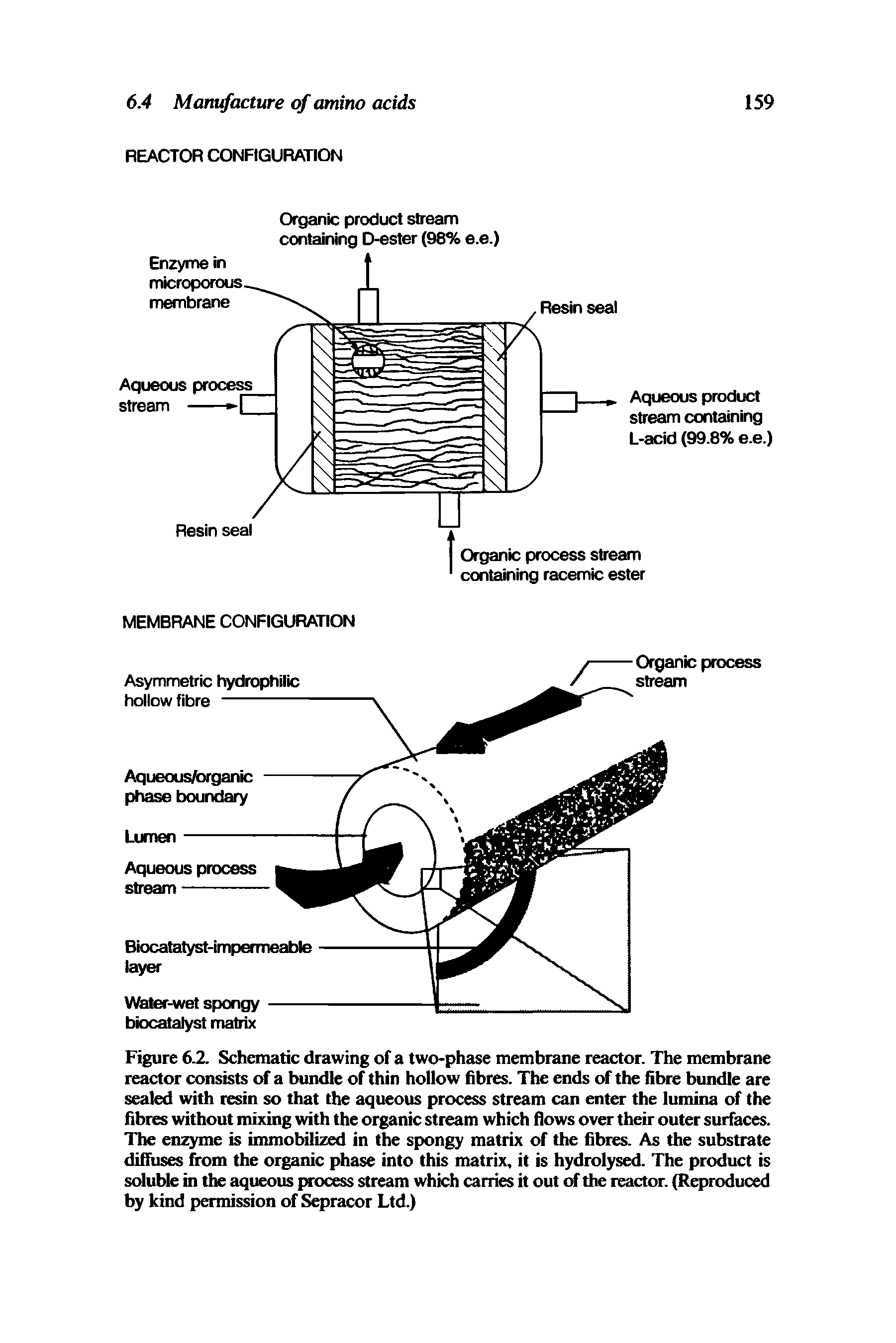 Figure 62. Sdiematic drawing of a two-phase membrane reactor. The membrane reactor consists of a bundle of thin hollow fibres. The ends of the fibre bundle are sealed with resin so that the aqueous process stream can enter the lumina of the fibres without mixing with the organic stream which flows over their outer surfaces. The enzyme is immobilized in the spongy matrix of the fibres. As the substrate difiuses from the organic phase into this matrix, it is hydrolysed. The product is sduble in the aqueous process stream which carries it out of the reactor. (Reproduced by kind permission of Sepracor Ltd.)...