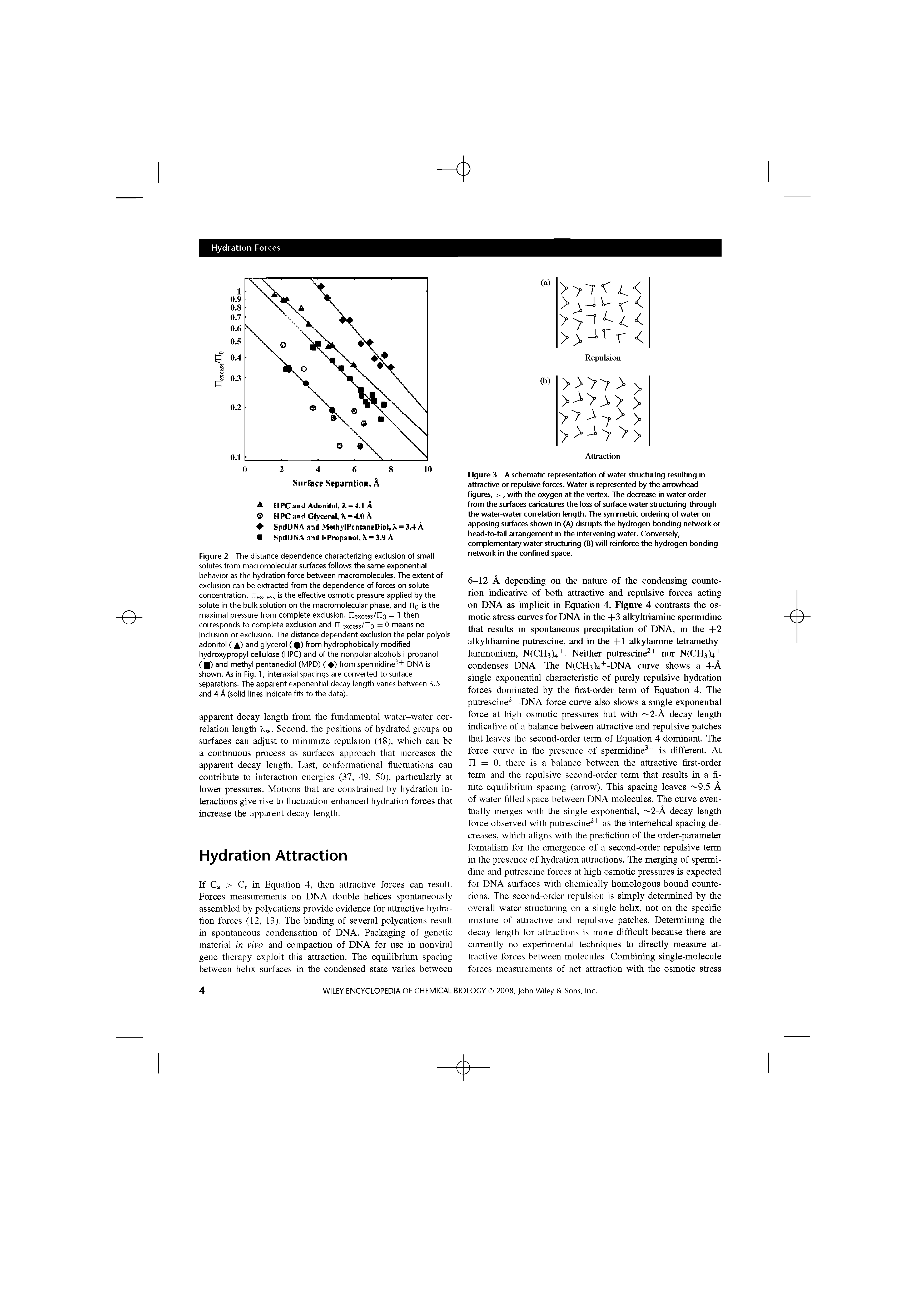 Figure 2 The distance dependence characterizing exclusion of small solutes from macromolecular surfaces follows the same exponential behavior as the hydration force between macromolecules. The extent of exclusion can be extracted from the dependence of forces on solute concentration. ITexcess is the effective osmotic pressure applied by the solute in the bulk solution on the macromolecular phase, and np is the maximal pressure from complete exclusion, riexcess/rio = 1 then corresponds to complete exclusion and n excess/Ho = 0 means no inclusion or exclusion. The distance dependent exclusion the polar polyols adonitol (A) and glycerol ( ) from hydrophobically modified hydroxypropyl cellulose (FIPC) and of the nonpolar alcohols i-propanol ( ) and methyl pentanediol (MPD) ( ) from spermidine +-DNA is shown. As in Fig. 1, interaxial spacings are converted to surface separations. The apparent exponential decay length varies between 3.5 and 4 A (solid lines indicate fits to the data).