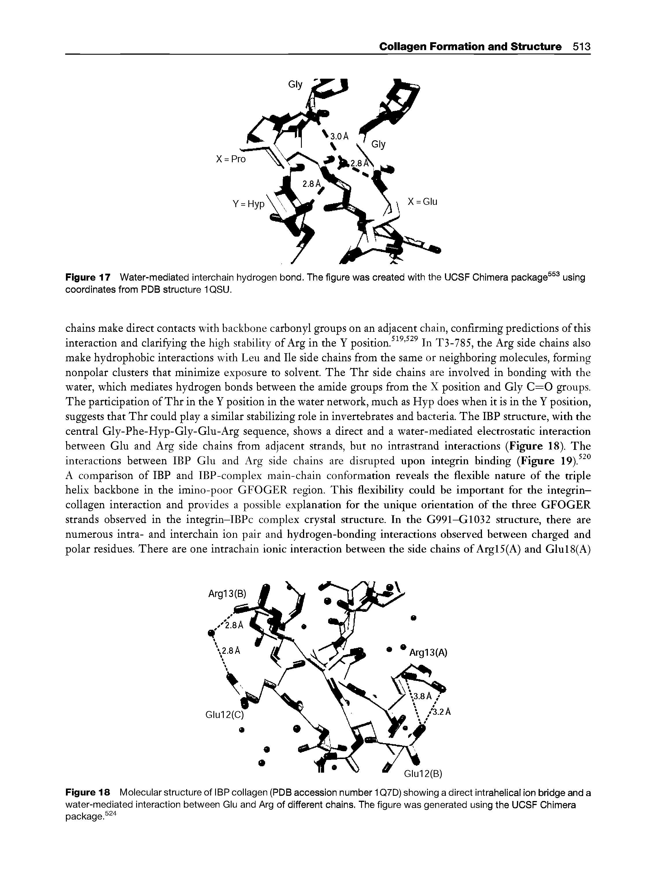 Figure 17 Water-mediated interchain hydrogen bond. The figure was created with the UCSF Chimera package coordinates from PDB structure 1QSU.