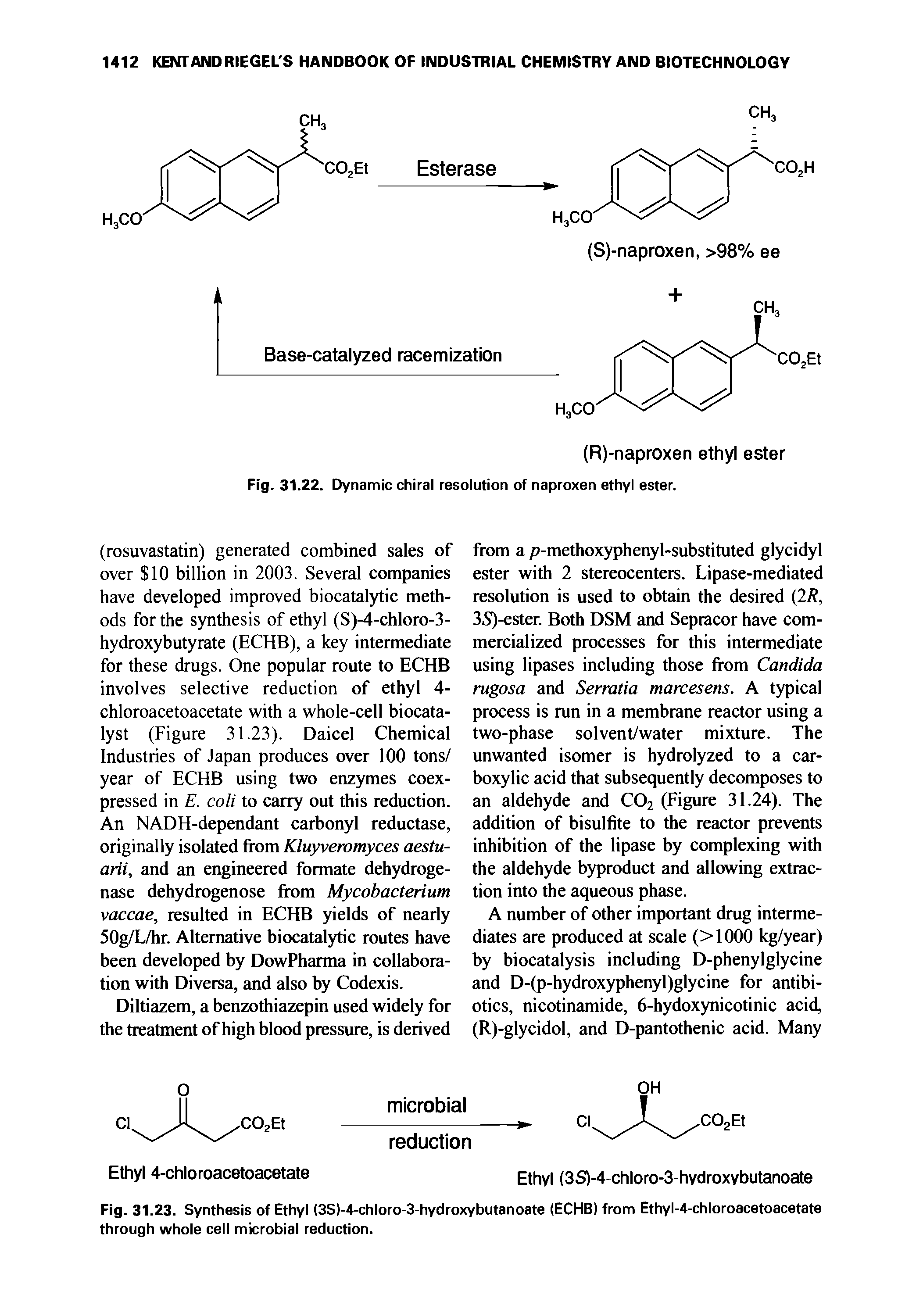 Fig. 31.23. Synthesis of Ethyl (3S)-4-chloro-3-hydroxybutanoate (ECHB) from Ethyl-4-chloroacetoacetate through whole cell microbial reduction.