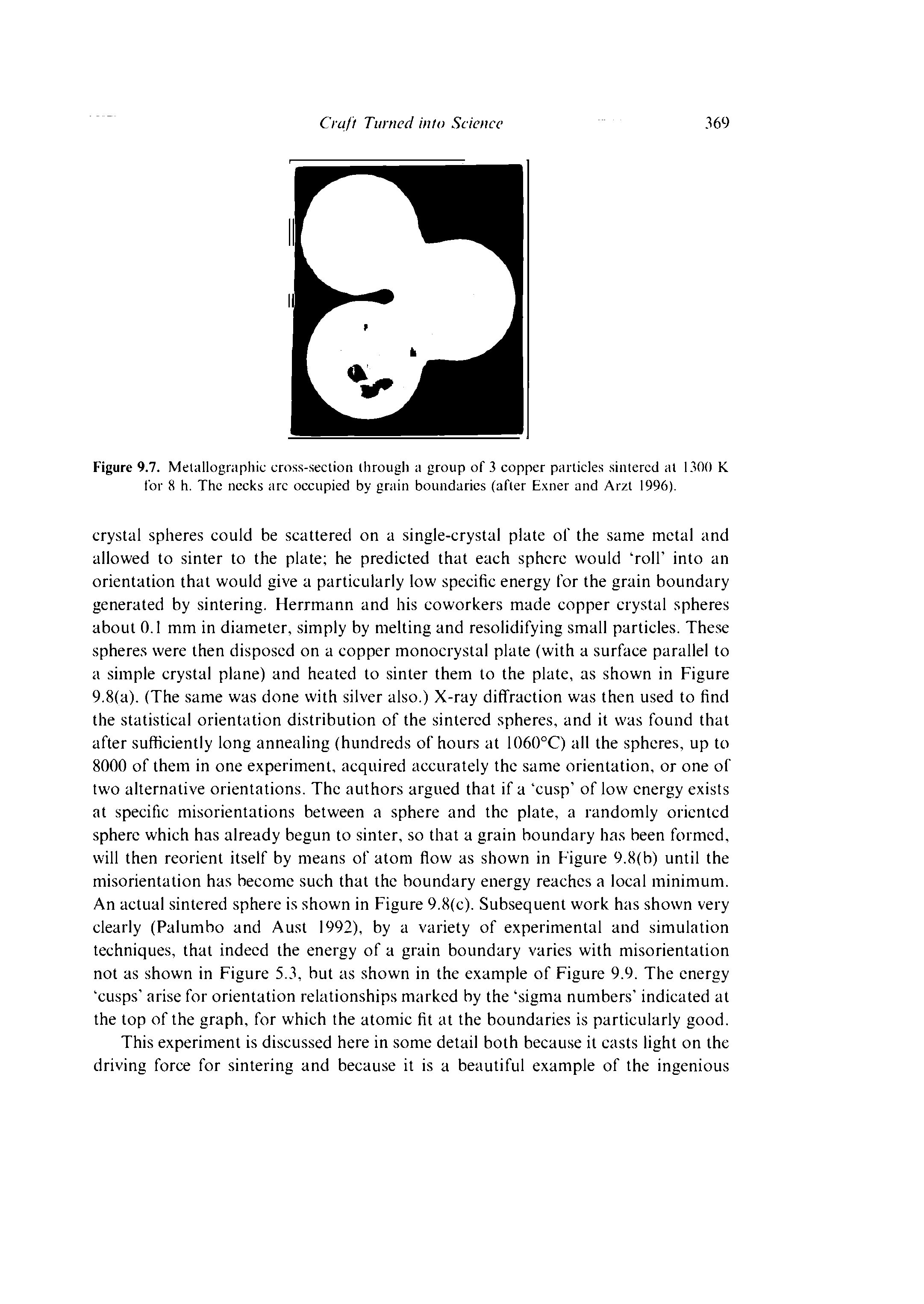 Figure 9.7. Melallographic cross-section through a group of 3 copper particles sintered at 1300 K for 8 h. The necks arc occupied by grain boundaries (after Exner and Arzt 1996).