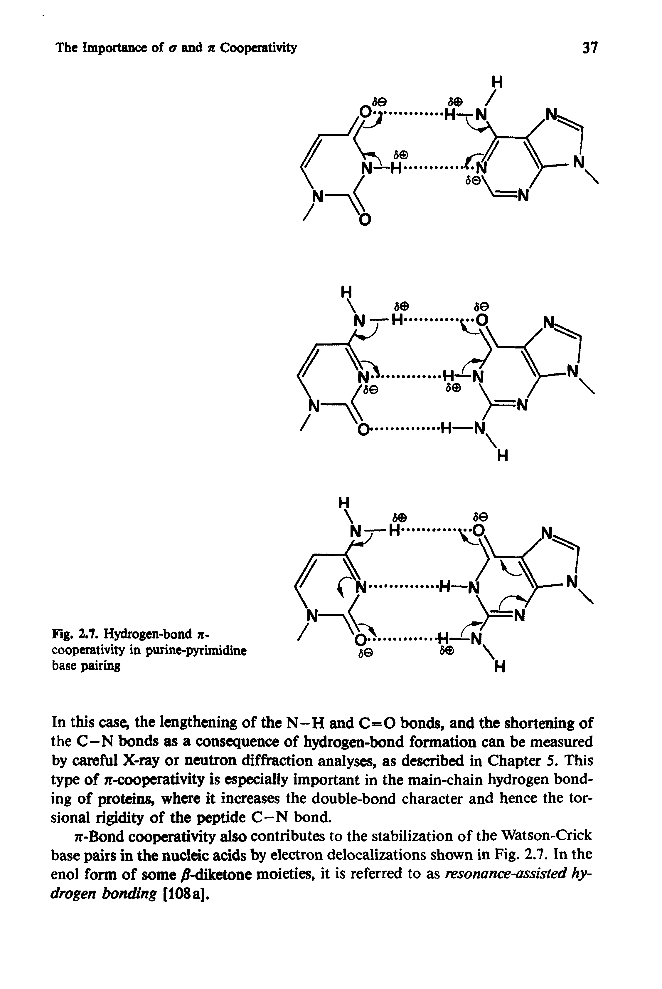 Fig. 2.7. Hydrogen-bond n-cooperativity in purine-pyrimidine base pairing...