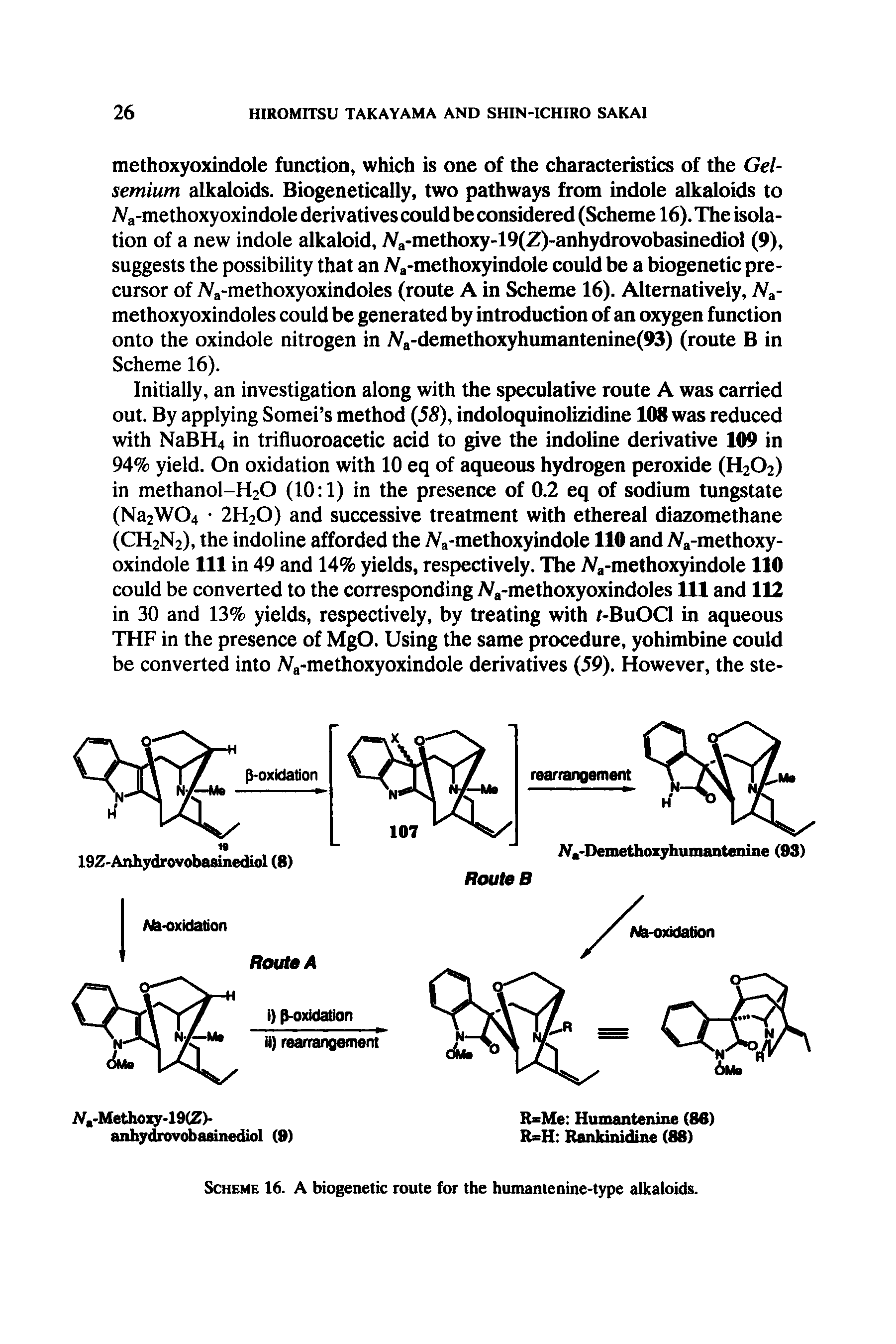Scheme 16. A biogenetic route for the humantenine-type alkaloids.