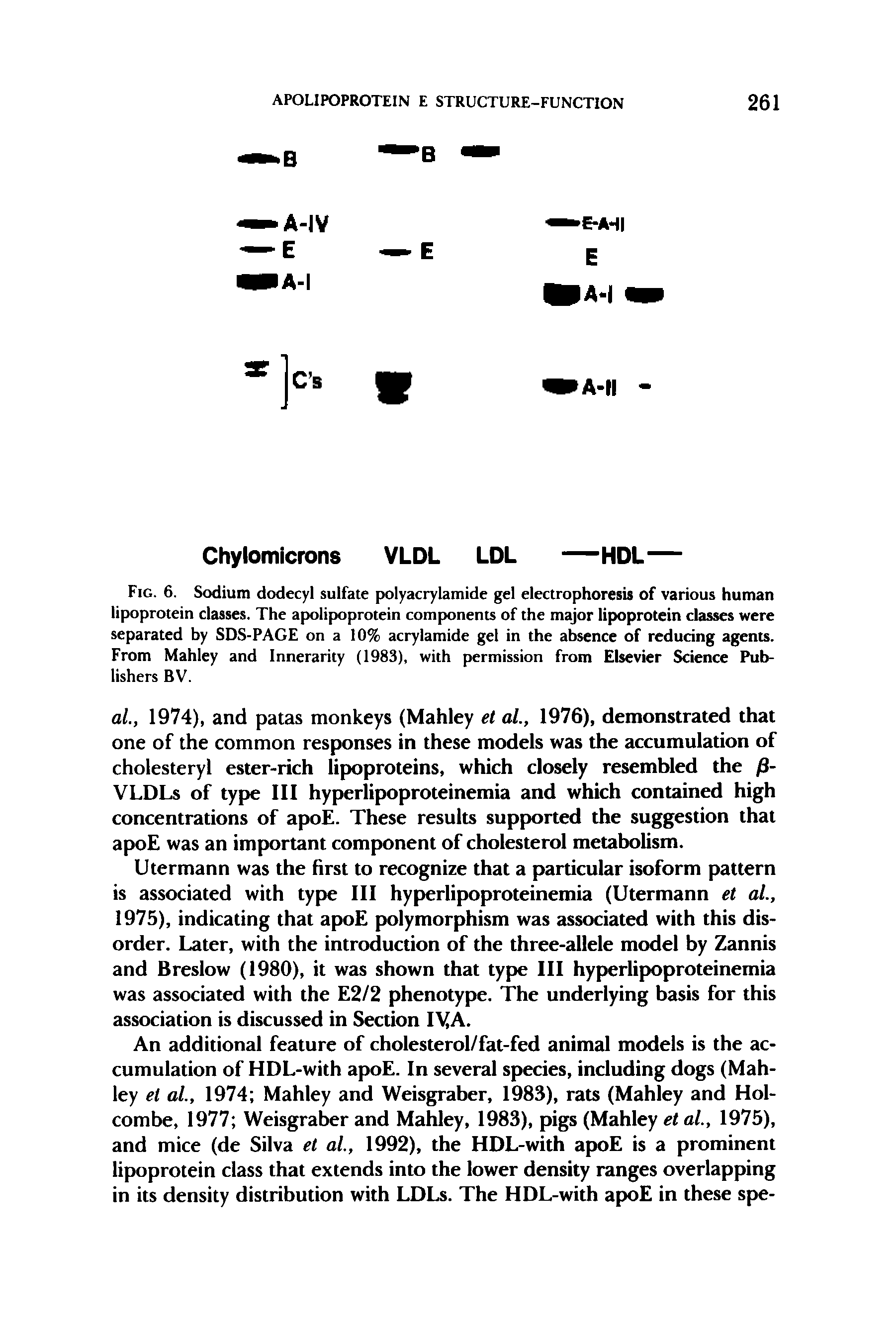 Fig. 6. Sodium dodecyl sulfate polyacrylamide gel electrophoresis of various human lipoprotein classes. The apolipoprotein components of the major lipoprotein classes were separated by SDS-PAGE on a 10% acrylamide gel in the absence of reducing agents. From Mahley and Innerarity (1983), with permission from Elsevier Science Publishers BV.