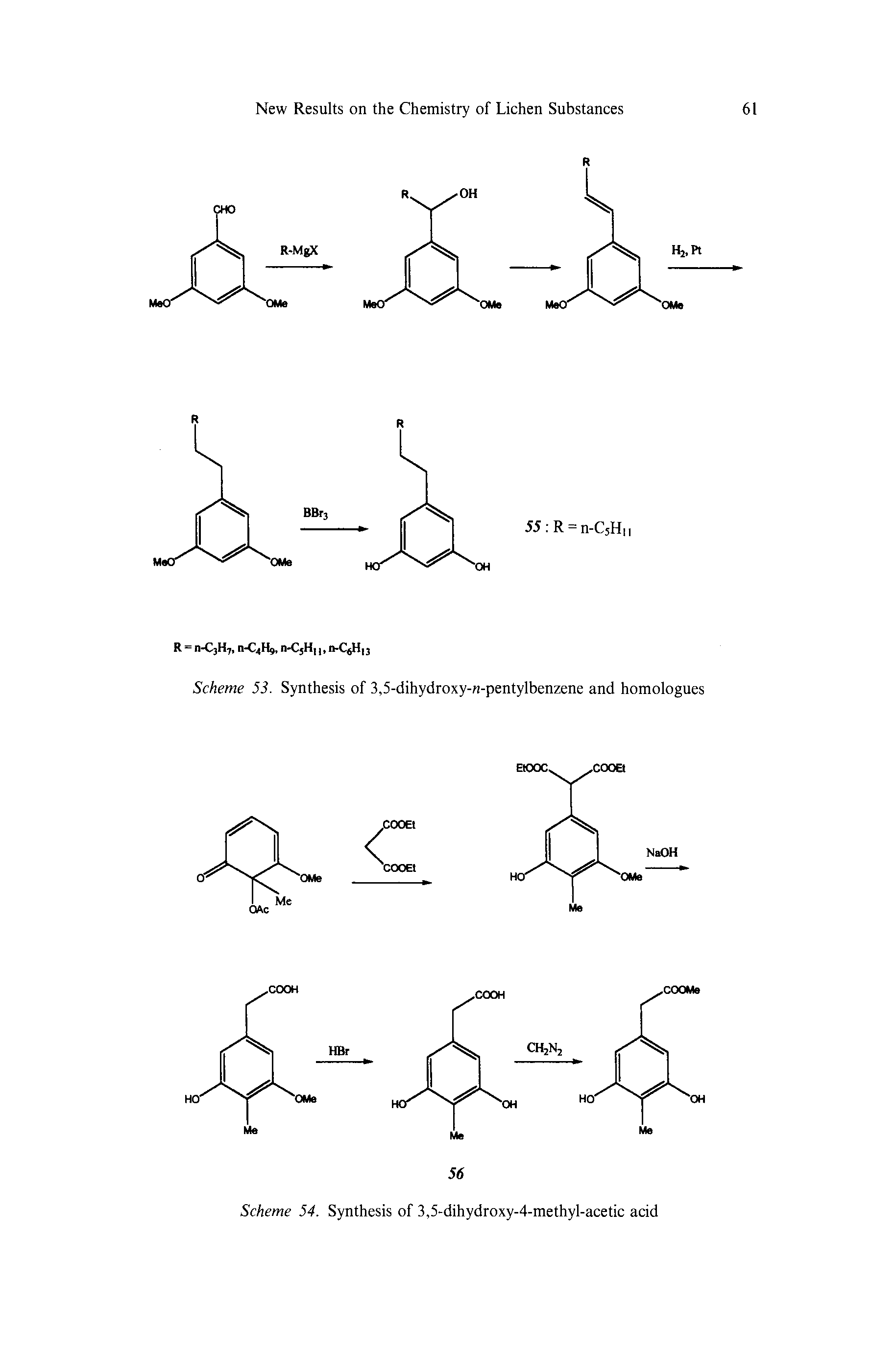 Scheme 54. Synthesis of 3,5-dihydroxy-4-methyl-acetic acid...