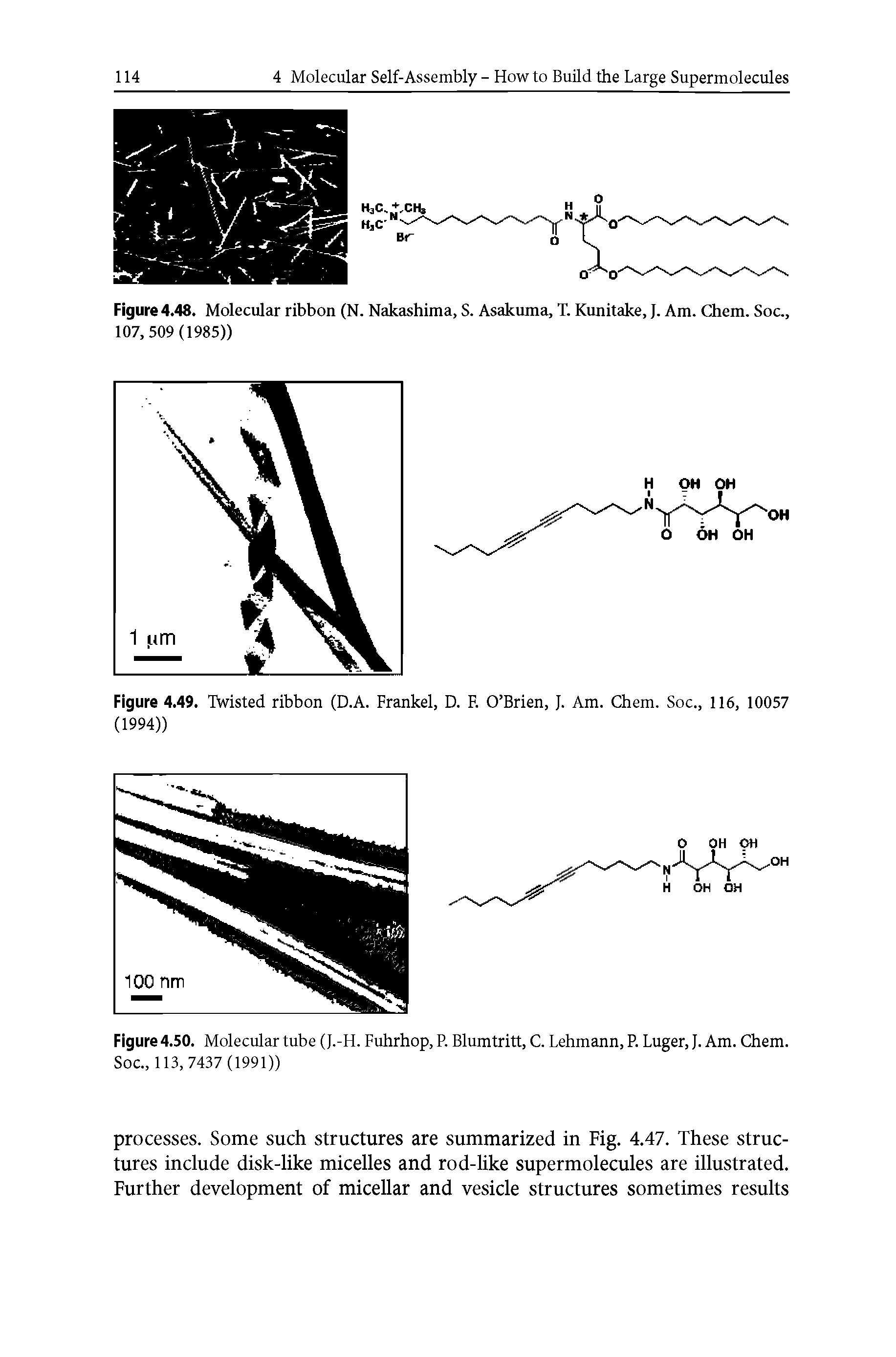 Figure 4.48. Molecular ribbon (N. Nakashima, S. Asakuma, T. Kunitake, J. Am. Chem. Soc., 107,509(1985))...