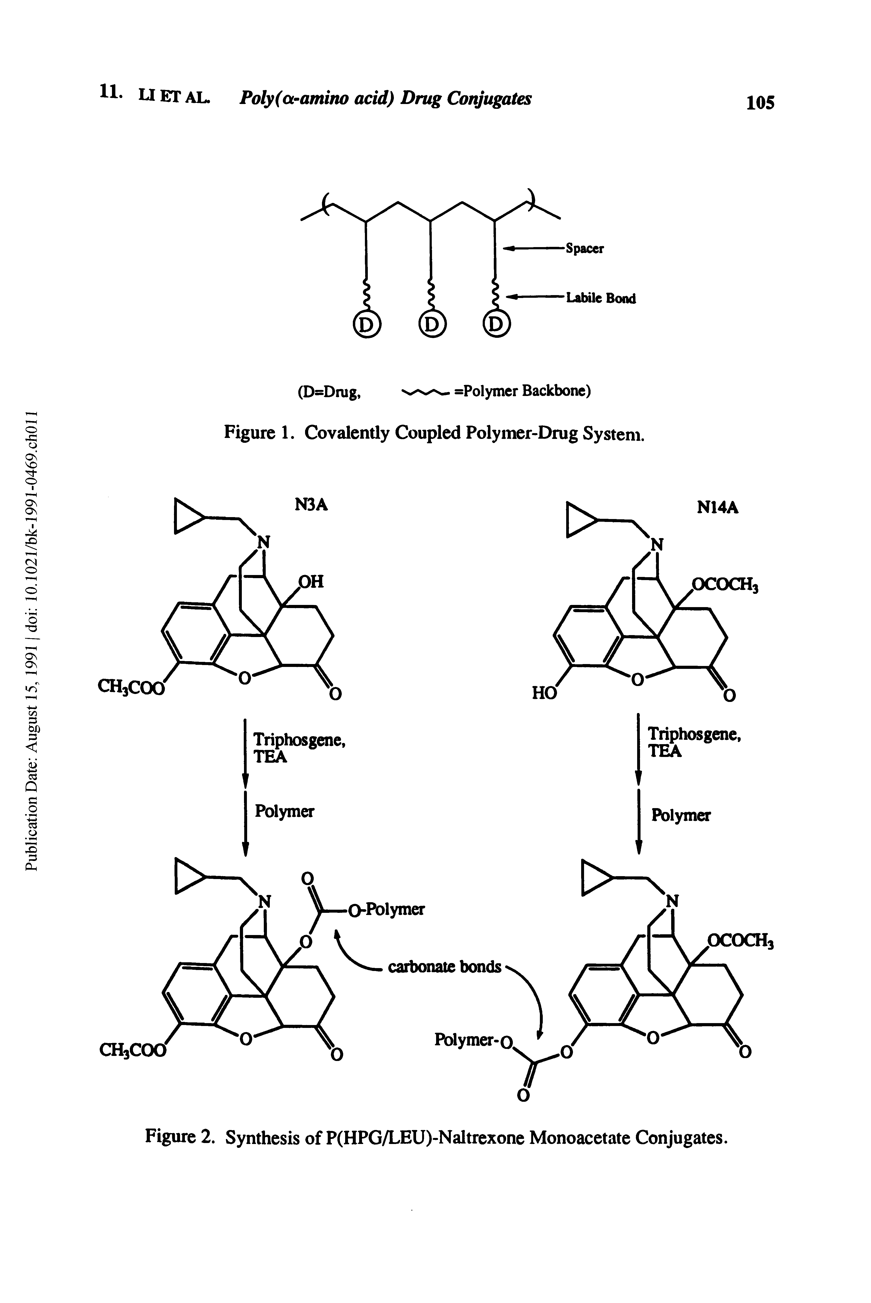 Figure 1. Covalently Coupled Polymer-Drug System.