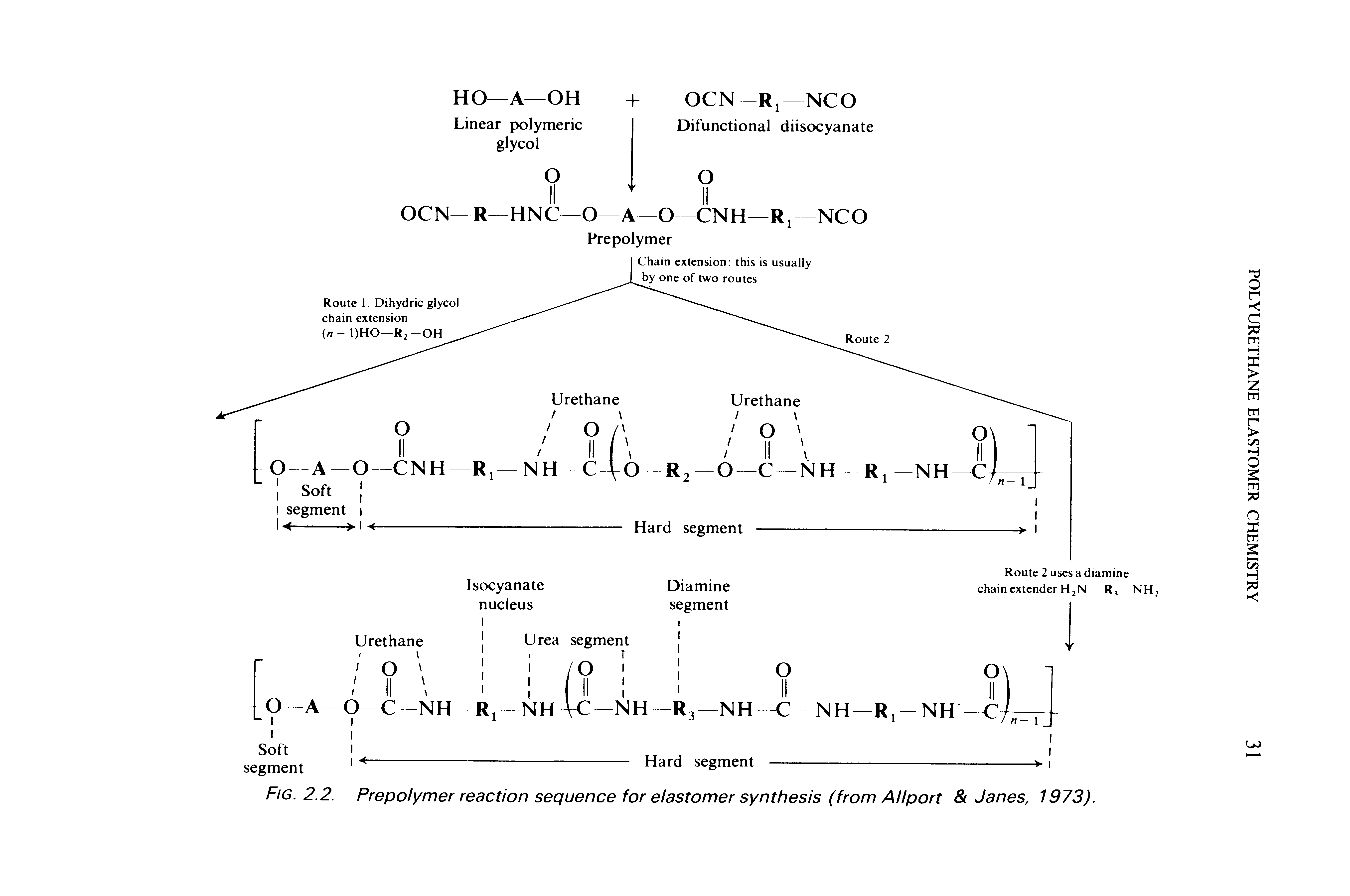 Fig. 2.2. Prepolymer reaction sequence for elastomer synthesis (from AHport Janes, 1973).