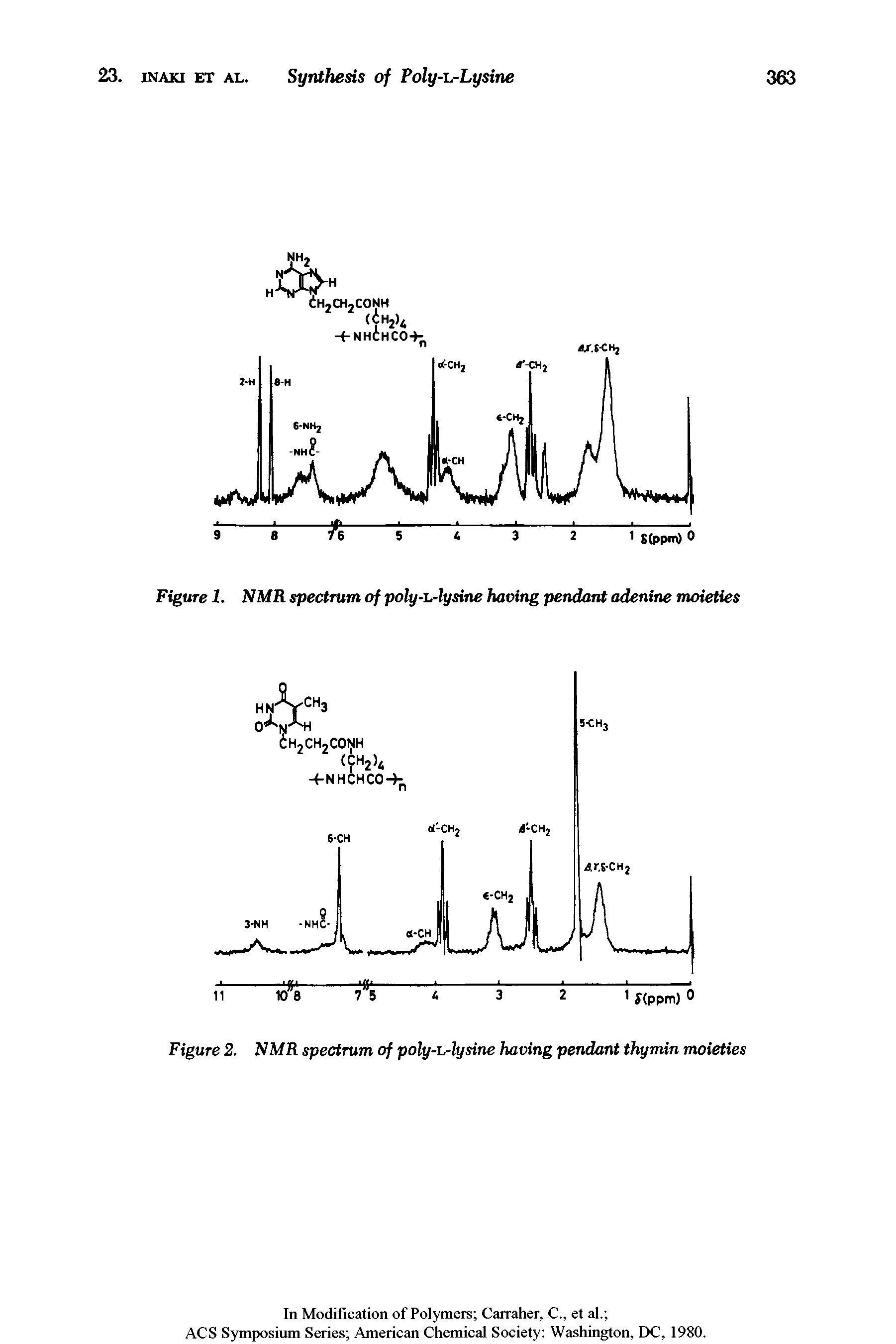 Figure 2. NMR spectrum of poly- Aysine having pendant thymin moieties...