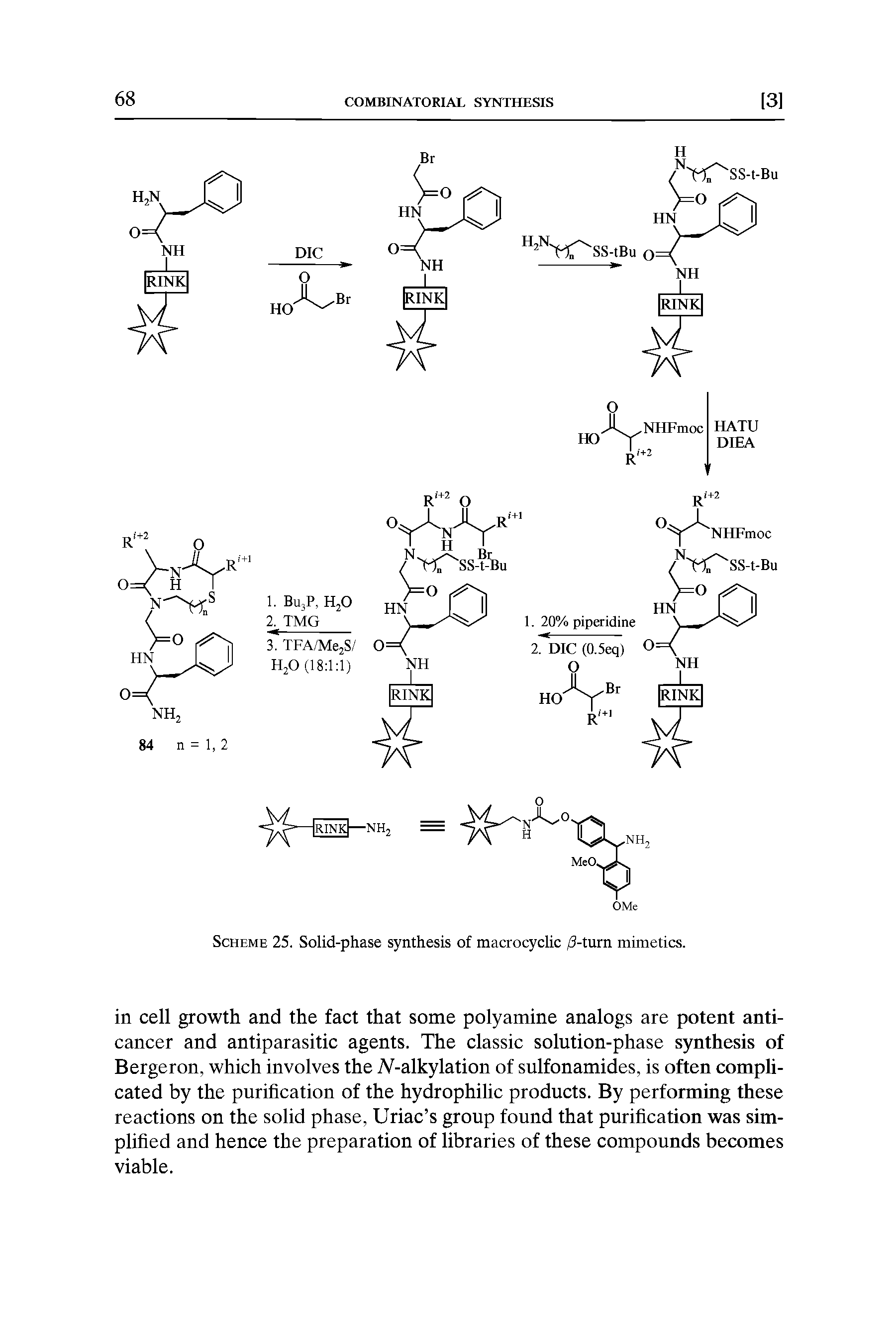 Scheme 25. Solid-phase synthesis of macrocyclic /3-turn mimetics.