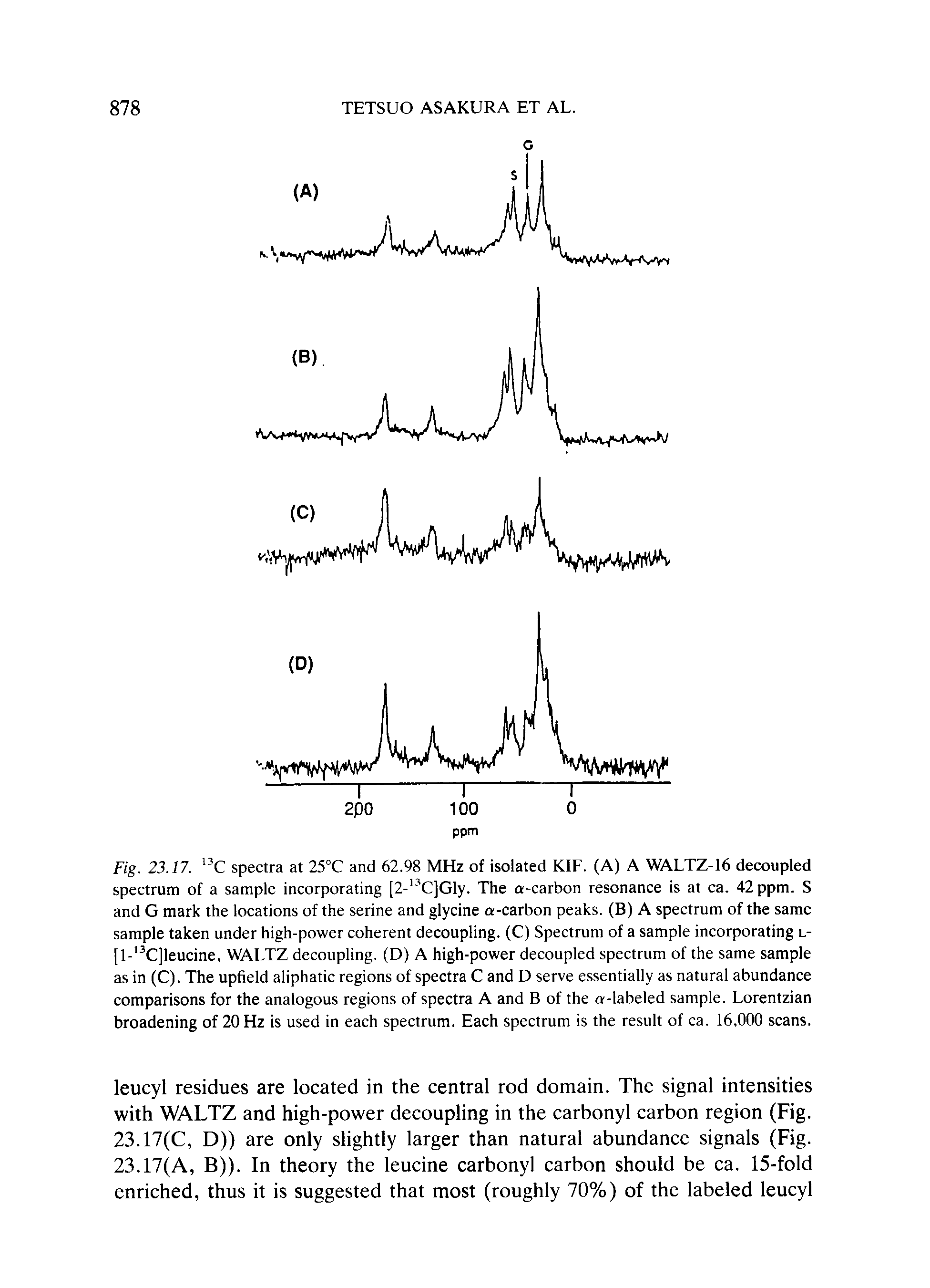 Fig. 23.17. C spectra at 25°C and 62.98 MHz of isolated KIF. (A) A WALTZ-16 decoupled spectrum of a sample incorporating [2- C]Gly. The a-carbon resonance is at ca. 42 ppm. S and G mark the locations of the serine and glycine a-carbon peaks. (B) A spectrum of the same sample taken under high-power coherent decoupling. (C) Spectrum of a sample incorporating l-[l- C]leucine, WALTZ decoupling. (D) A high-power decoupled spectrum of the same sample as in (C). The upheld aliphatic regions of spectra C and D serve essentially as natural abundance comparisons for the analogous regions of spectra A and B of the a-labeled sample. Lorentzian broadening of 20 Hz is used in each spectrum. Each spectrum is the result of ca. 16,000 scans.