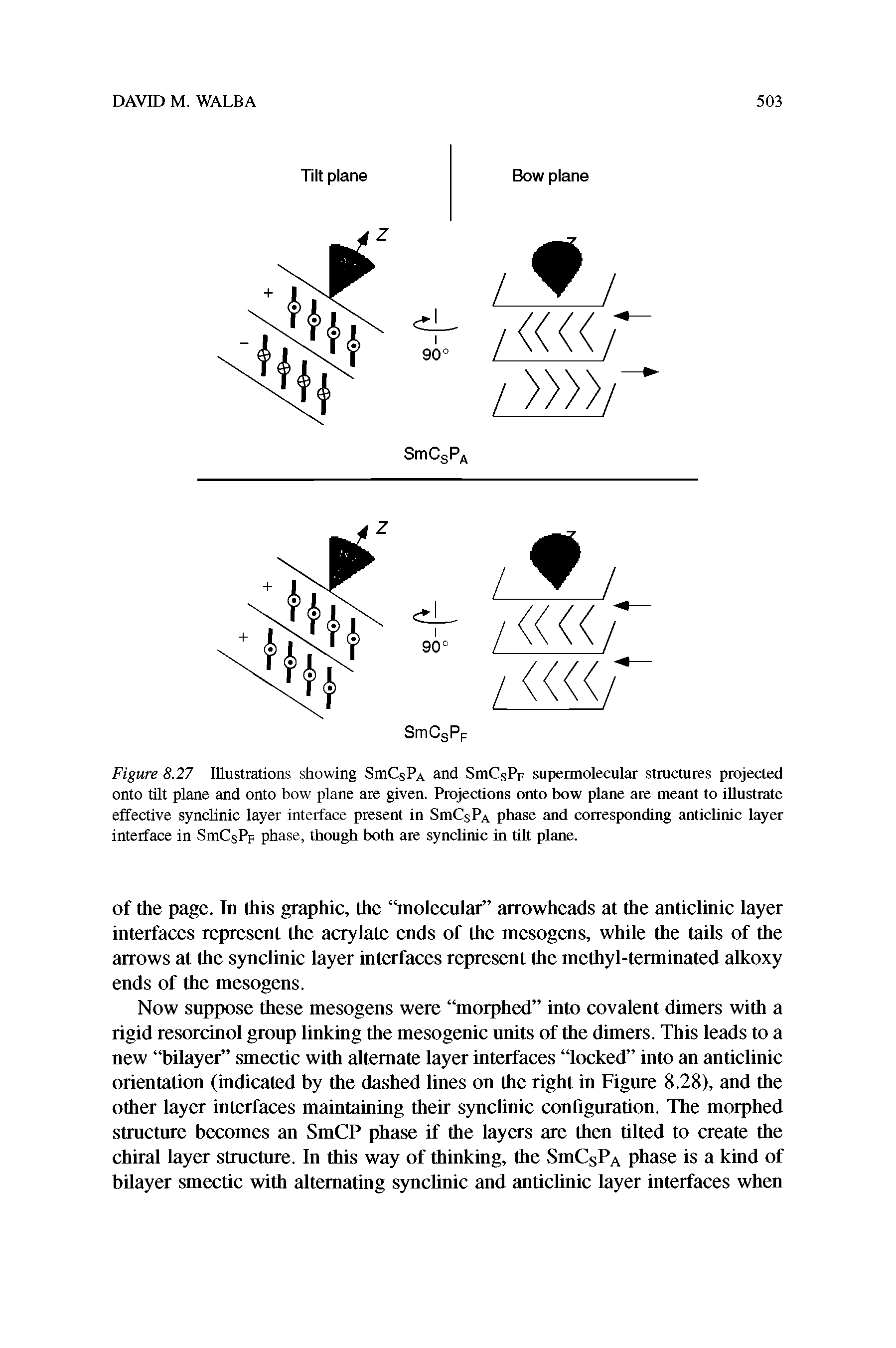 Figure 8.27 Illustrations showing SmCsPA and SniCsP. supermolecular structures projected onto tilt plane and onto bow plane are given. Projections onto bow plane are meant to illustrate effective synclinic layer interface present in SmCsPA phase and corresponding anticlinic layer interface in SmCsPF phase, though both are synclinic in tilt plane.