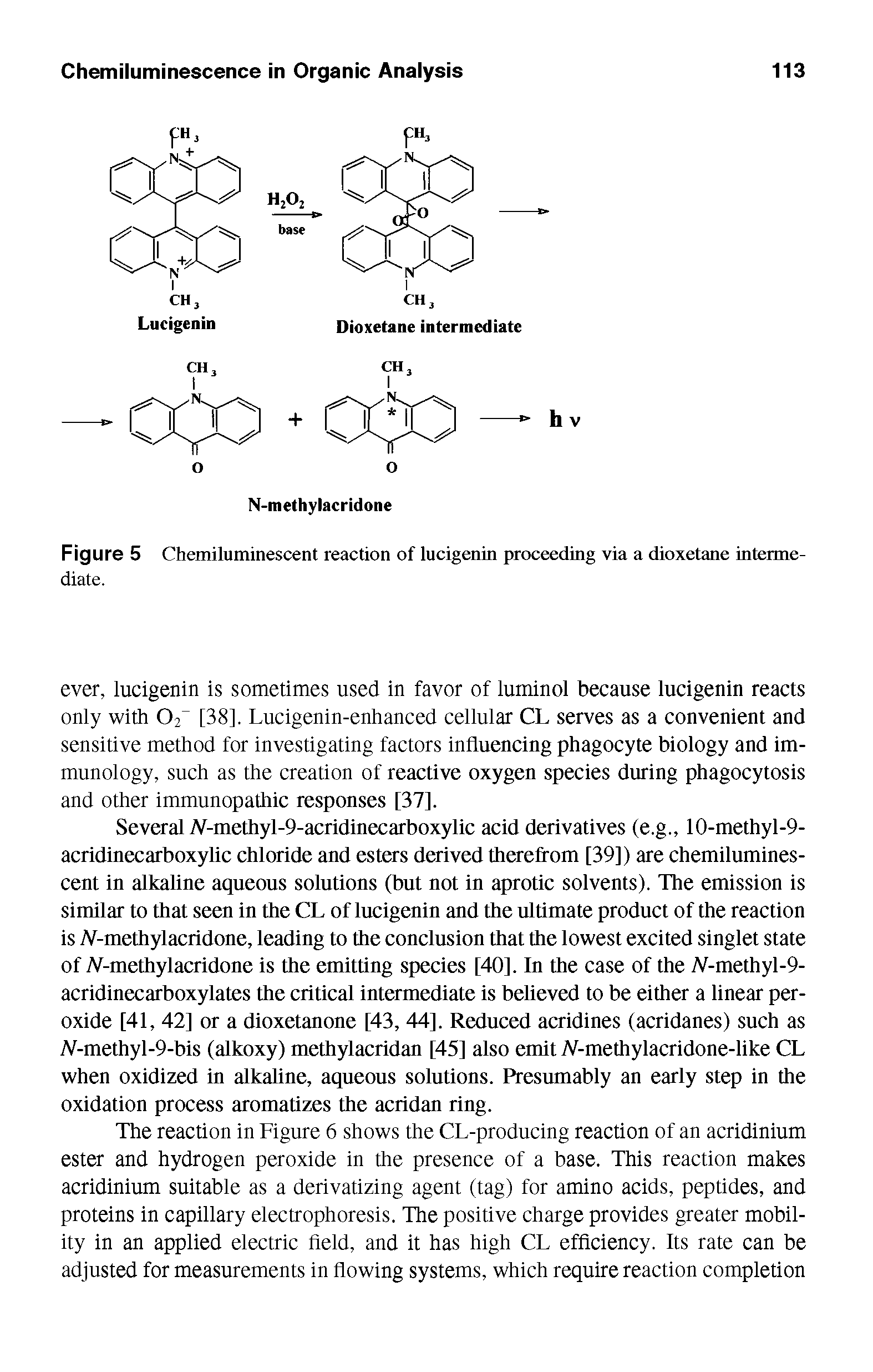 Figure 5 Chemiluminescent reaction of lucigenin proceeding via a dioxetane intermediate.