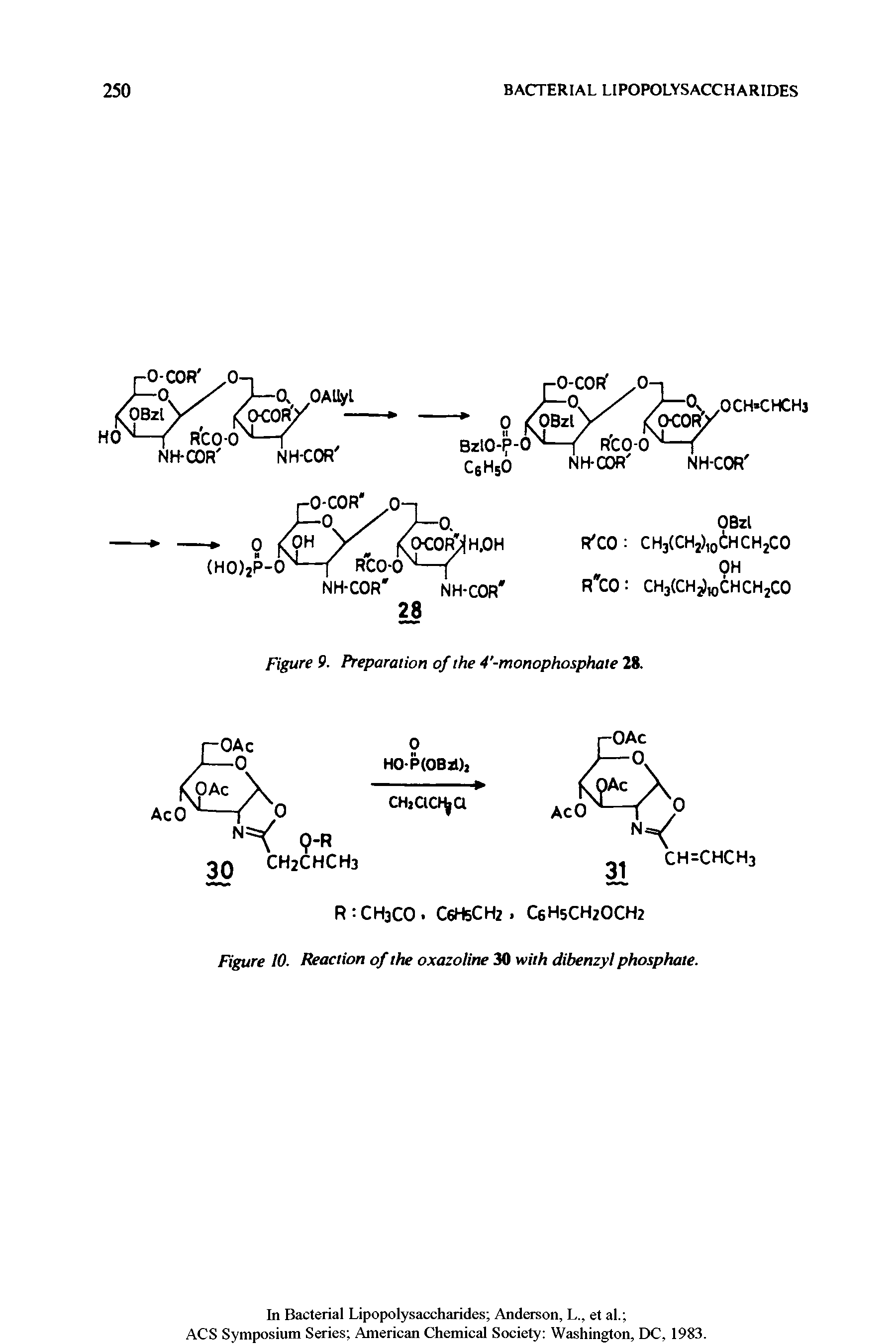 Figure 10. Reaction of the oxazoline 30 with dibenzyl phosphate.