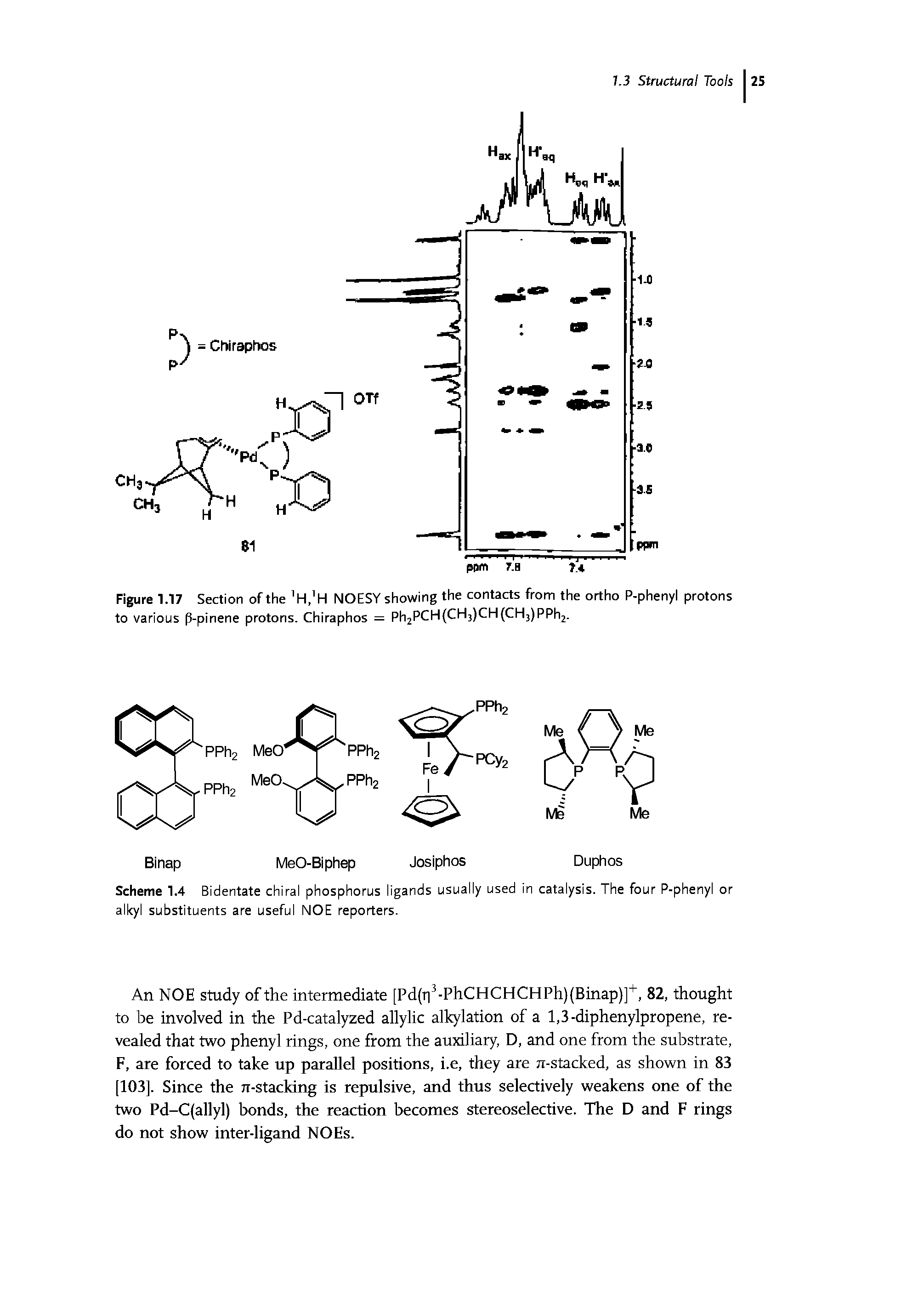 Figure 1.17 Section ofthe H, H NOESY showing the contacts from the ortho P-phenyl protons to various p-pinene protons. Chiraphos = Ph2pCH(CH3)CH(CH3)PPh2.