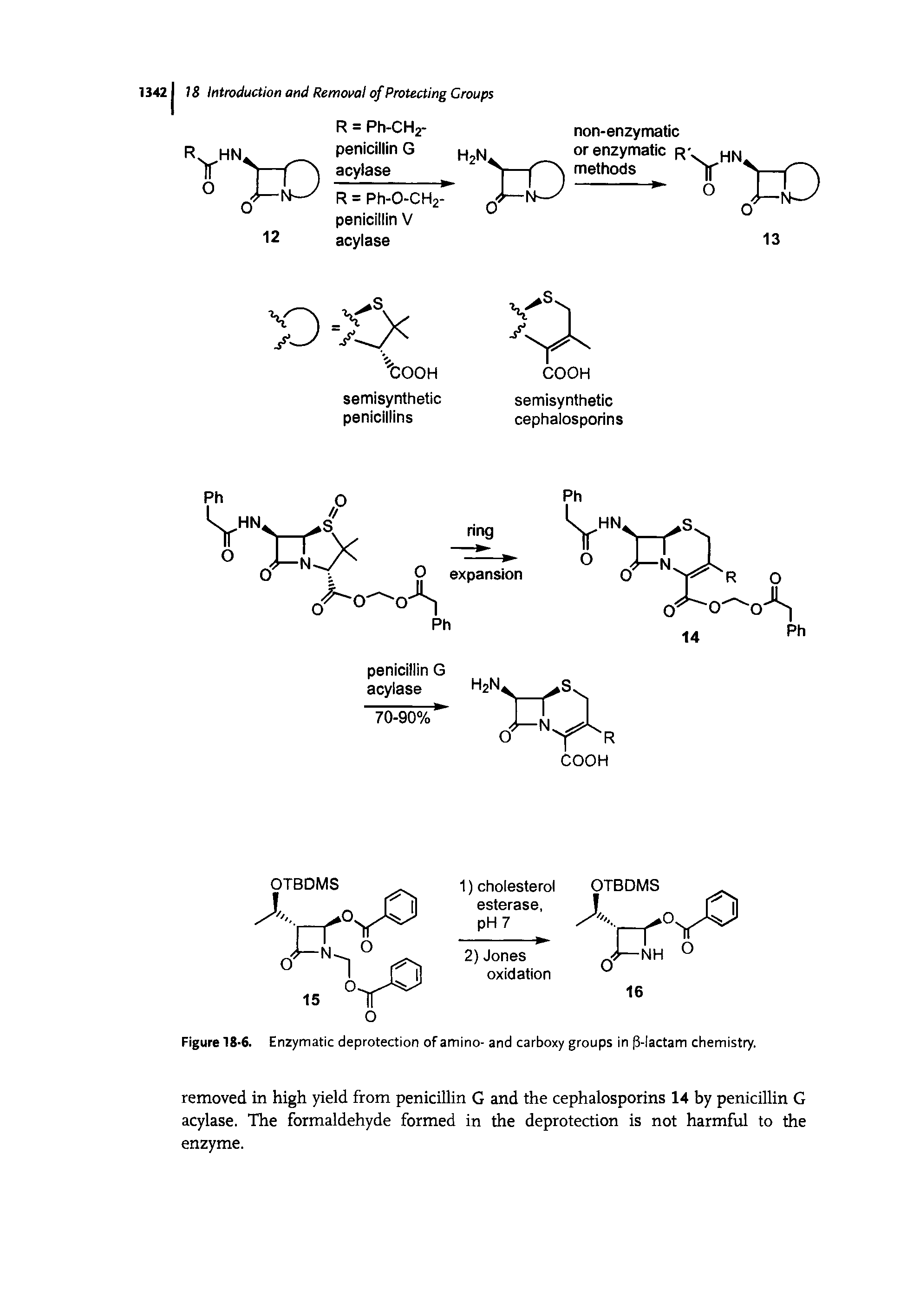 Figure 18-6. Enzymatic deprotection of amino- and carboxy groups in 3-lactam chemistry.