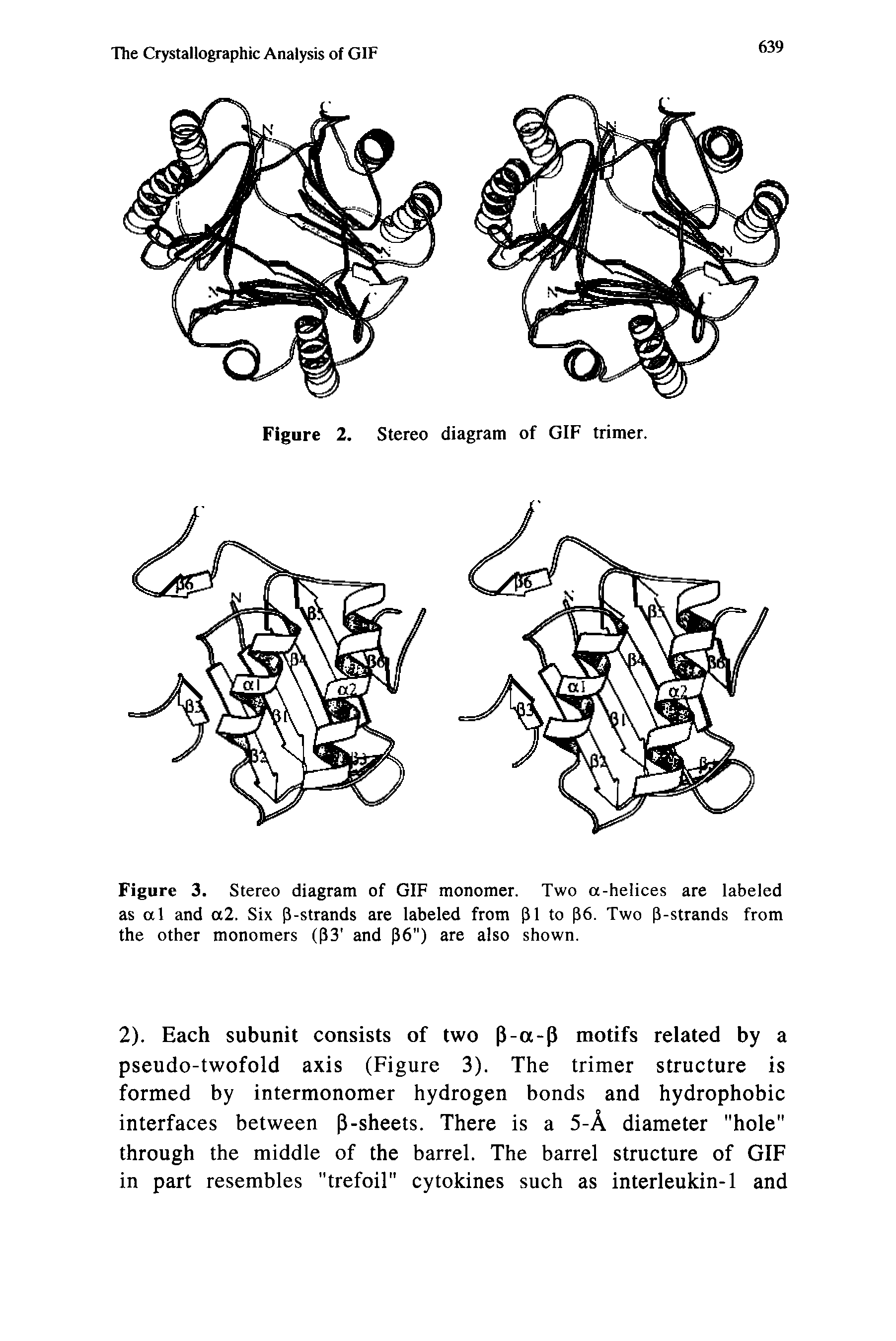 Figure 3. Stereo diagram of GIF monomer. Two a-helices are labeled as al and a2. Six P-strands are labeled from pi to p6. Two P-strands from the other monomers (P3 and p6") are also shown.