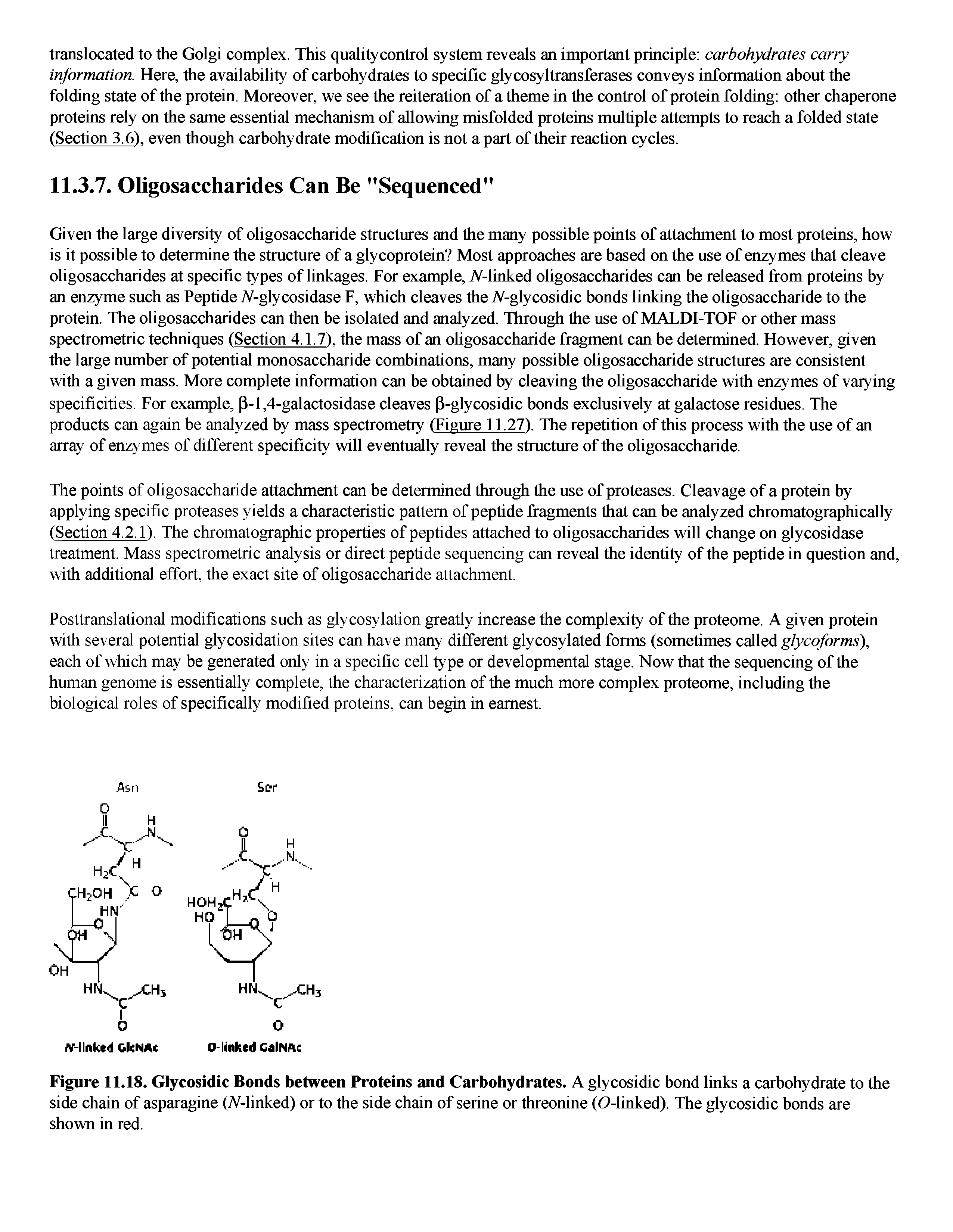 Figure 11.18. Glycosidic Bonds between Proteins and Carbohydrates. A glycosidic bond links a carbohydrate to the side chain of asparagine (TV-linked) or to the side chain of serine or threonine (O-linked). The glycosidic bonds are shown in red.