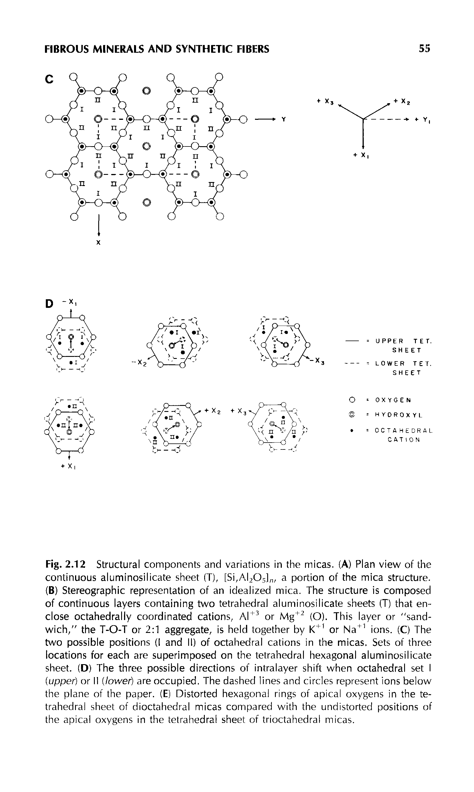 Fig. 2.12 Structural components and variations in the micas. (A) Plan view of the continuous aluminosilicate sheet (T), [Si,Al205] , a portion of the mica structure. (B) Stereographic representation of an idealized mica. The structure is composed of continuous layers containing two tetrahedral aluminosilicate sheets (T) that enclose octahedrally coordinated cations, or Mg (O). This layer or sandwich," the T-O-T or 2 1 aggregate, is held together by or Na ions. (C) The two possible positions (I and II) of octahedral cations in the micas. Sets of three locations for each are superimposed on the tetrahedral hexagonal aluminosilicate sheet. (D) The three possible directions of intralayer shift when octahedral set I (upper) or II (lower) are occupied. The dashed lines and circles represent ions below the plane of the paper. (E) Distorted hexagonal rings of apical oxygens in the tetrahedral sheet of dioctahedral micas compared with the undistorted positions of the apical oxygens in the tetrahedral sheet of trioctahedral micas.