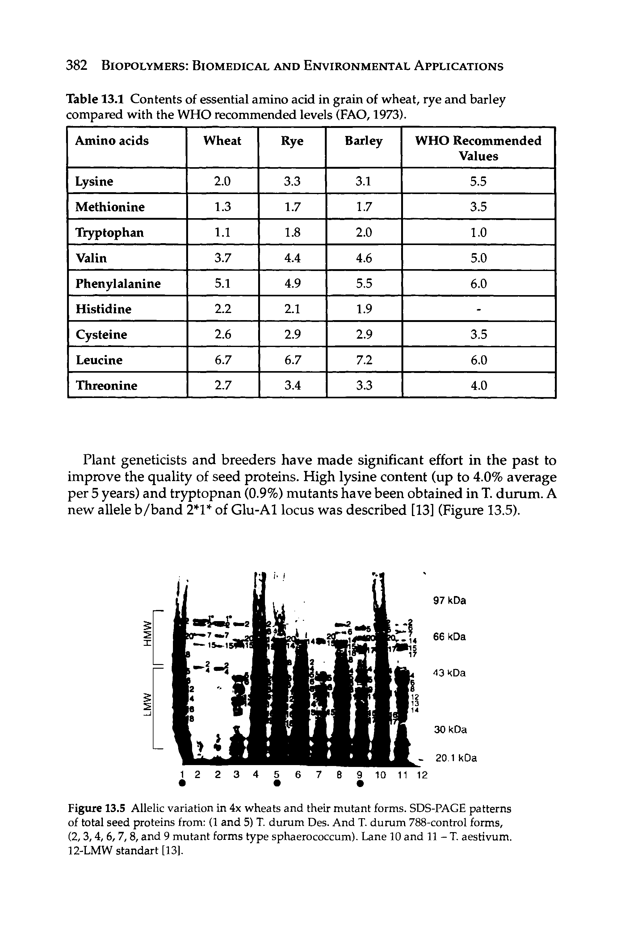 Table 13.1 Contents of essential amino acid in grain of wheat, rye and barley compared with the WHO recommended levels (FAO, 1973).