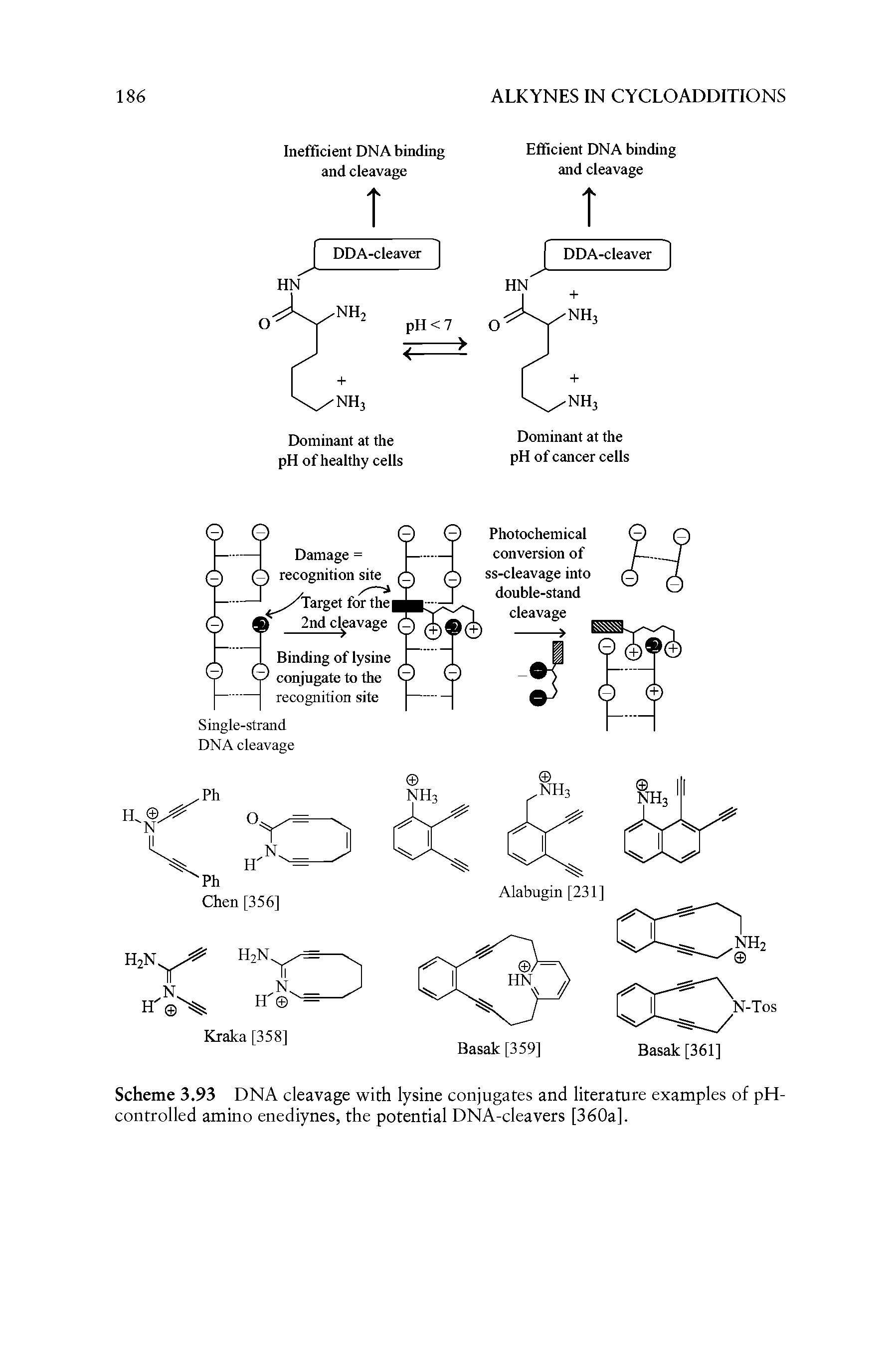 Scheme 3.93 DNA cleavage with lysine conjugates and literature examples of pH-controlled amino enediynes, the potential DNA-cleavers [360a].