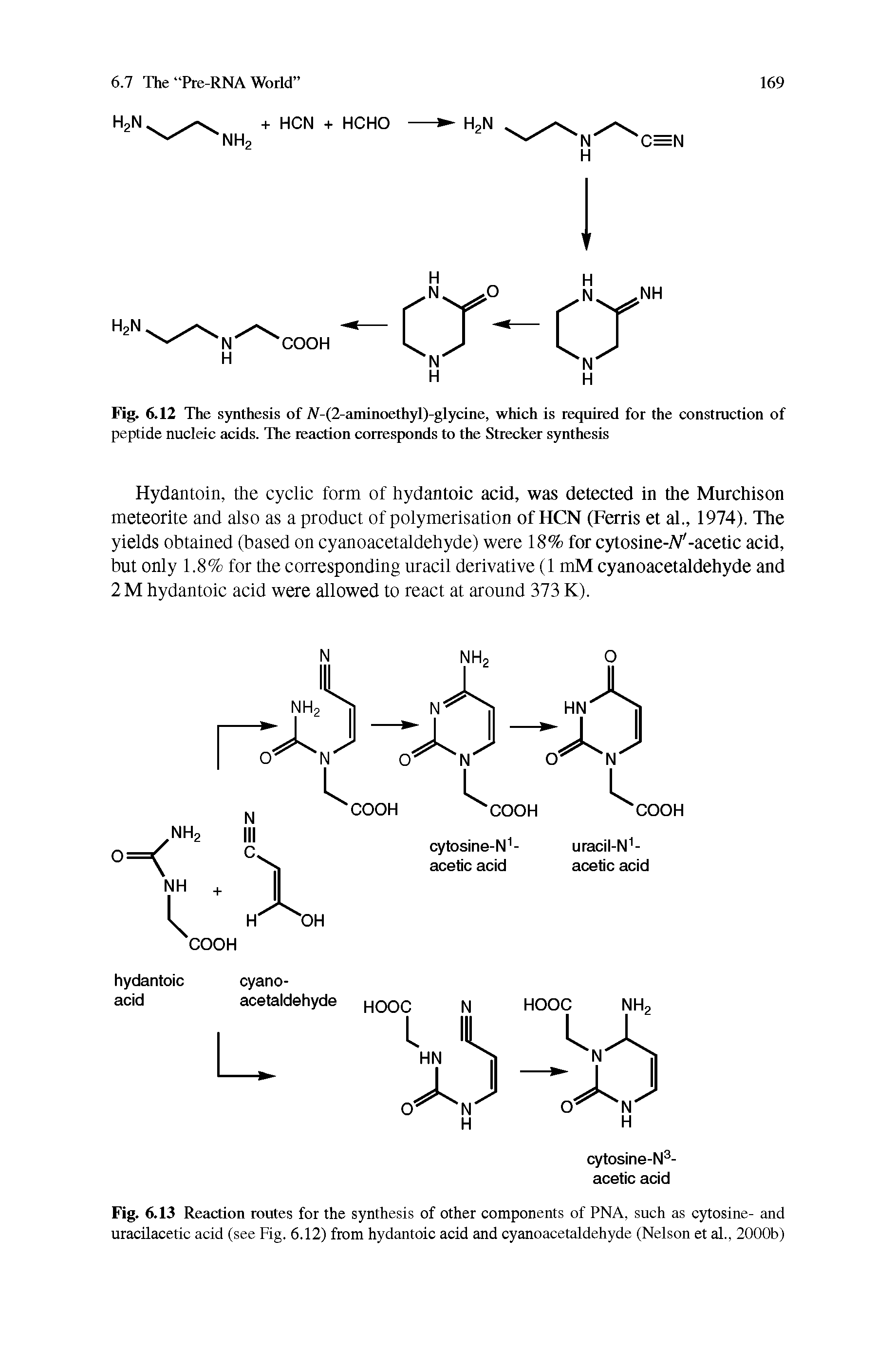Fig. 6.13 Reaction routes for the synthesis of other components of PNA, such as cytosine- and uracilacetic acid (see Fig. 6.12) from hydantoic acid and cyanoacetaldehyde (Nelson et al., 2000b)...