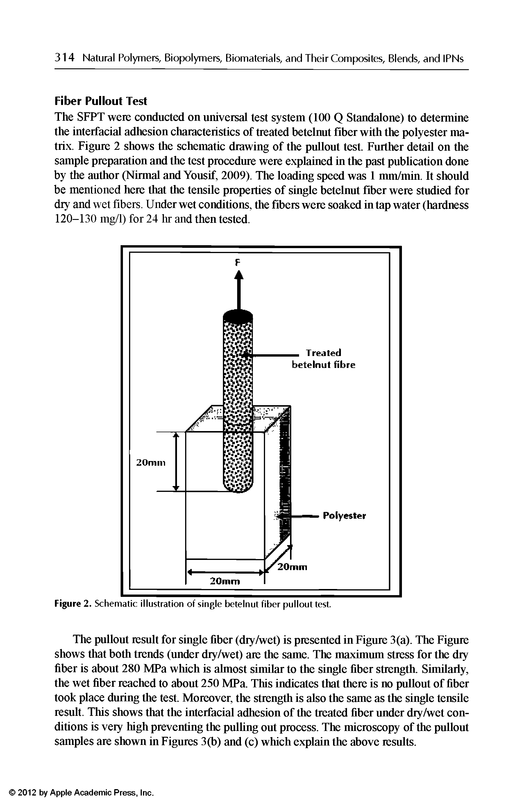 Figure 2. Schematic illustration of single betelnut fiber pullout test.