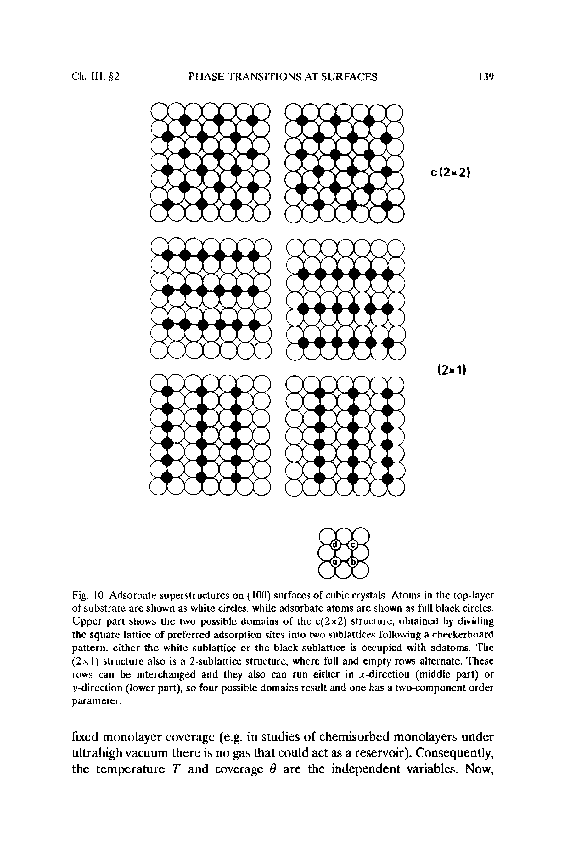 Fig. 10. Adsorbate superstructures on 100) surfaces of cubic crystals. Atoms in the top-layer of substrate are shown as white circles, while adsorbate atoms are shown as full black circles. Upper part shows the two possible domains of the c(2x2) structure, ohtained by dividing the square lattice of preferred adsorption sites into two sublattices following a checkerboard pattern either the white sublattice or the black sublattice is occupied with adatoms. The (2x1) structure also is a 2-sublattice structure, where full and empty rows alternate. These rows can be interchanged and they also can run either in -t-direction (middle part) or y-direction (lower part), so four passible domains result and one has a two-component order parameter.