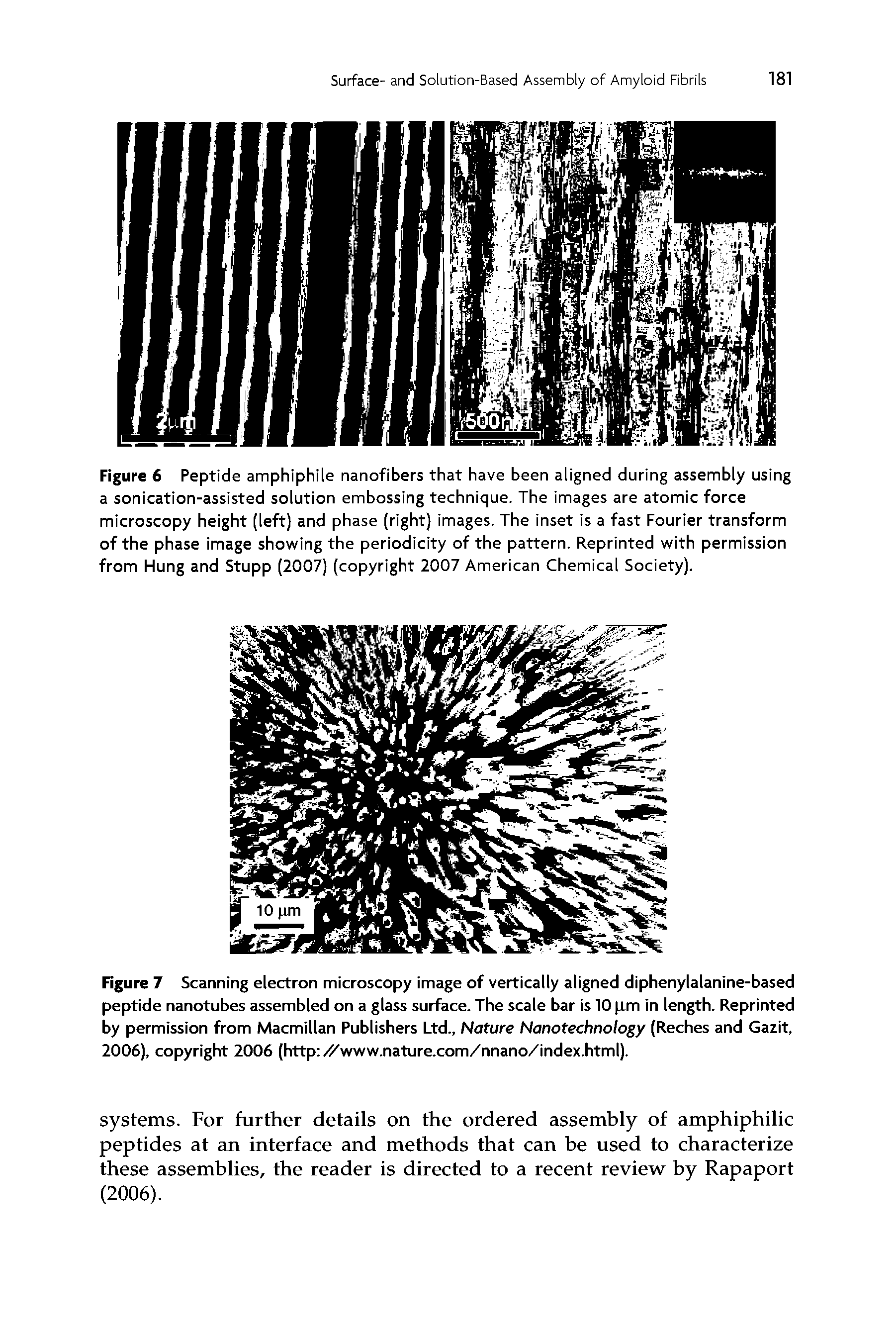 Figure 7 Scanning electron microscopy image of vertically aligned diphenylalanine-based peptide nanotubes assembled on a glass surface. The scale bar is 10 lm in length. Reprinted by permission from Macmillan Publishers Ltd., Nature Nanotechnology (Reches and Gazit, 2006), copyright 2006 (http //www.nature.com/nnano/index.html).
