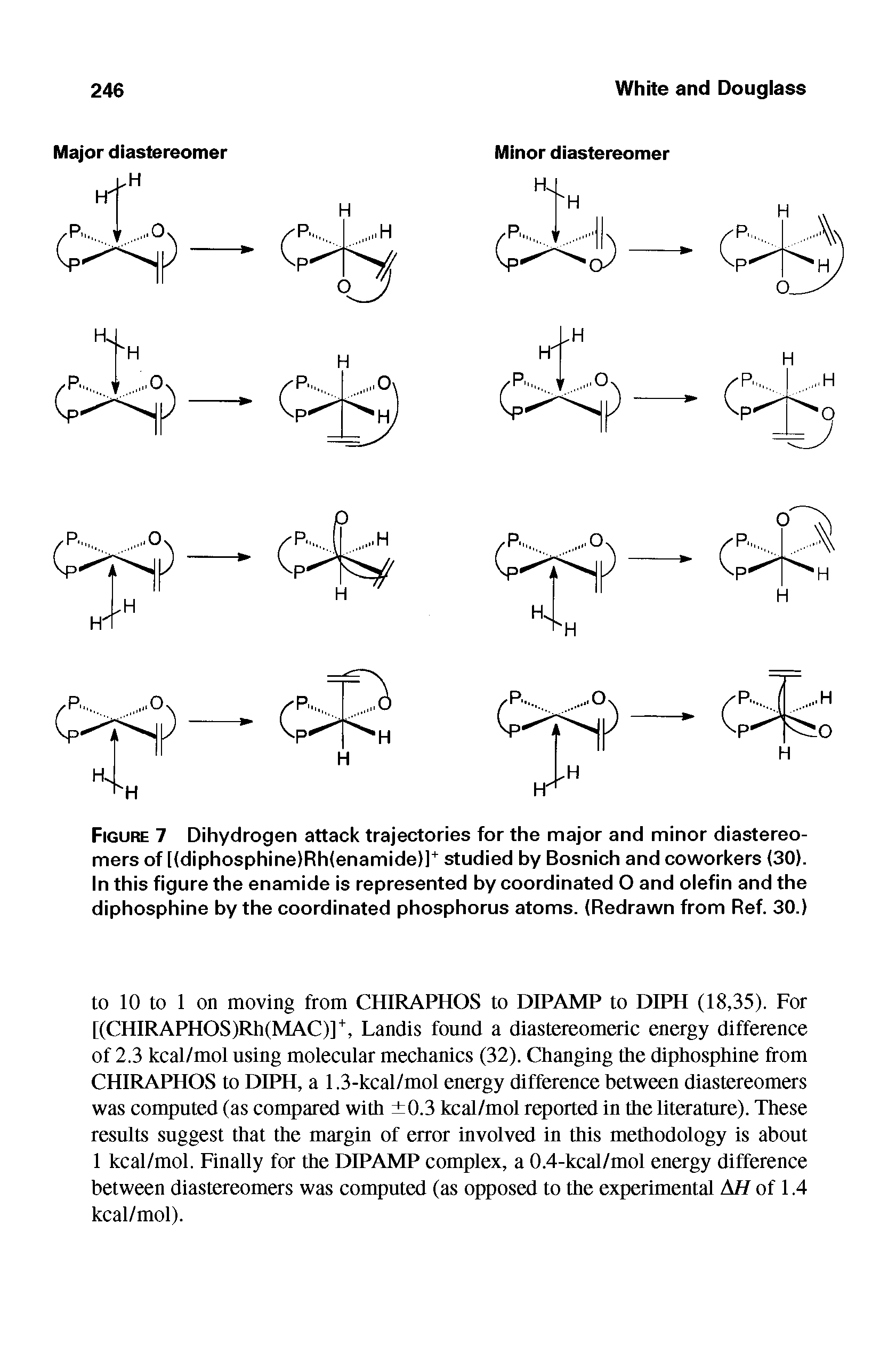 Figure 7 Dihydrogen attack trajectories for the major and minor diastereo-mers of [(diphosphine)Rh(enamide)] studied by Bosnich and coworkers (30). In this figure the enamide is represented by coordinated O and olefin and the diphosphine by the coordinated phosphorus atoms. (Redrawn from Ref. 30.)...