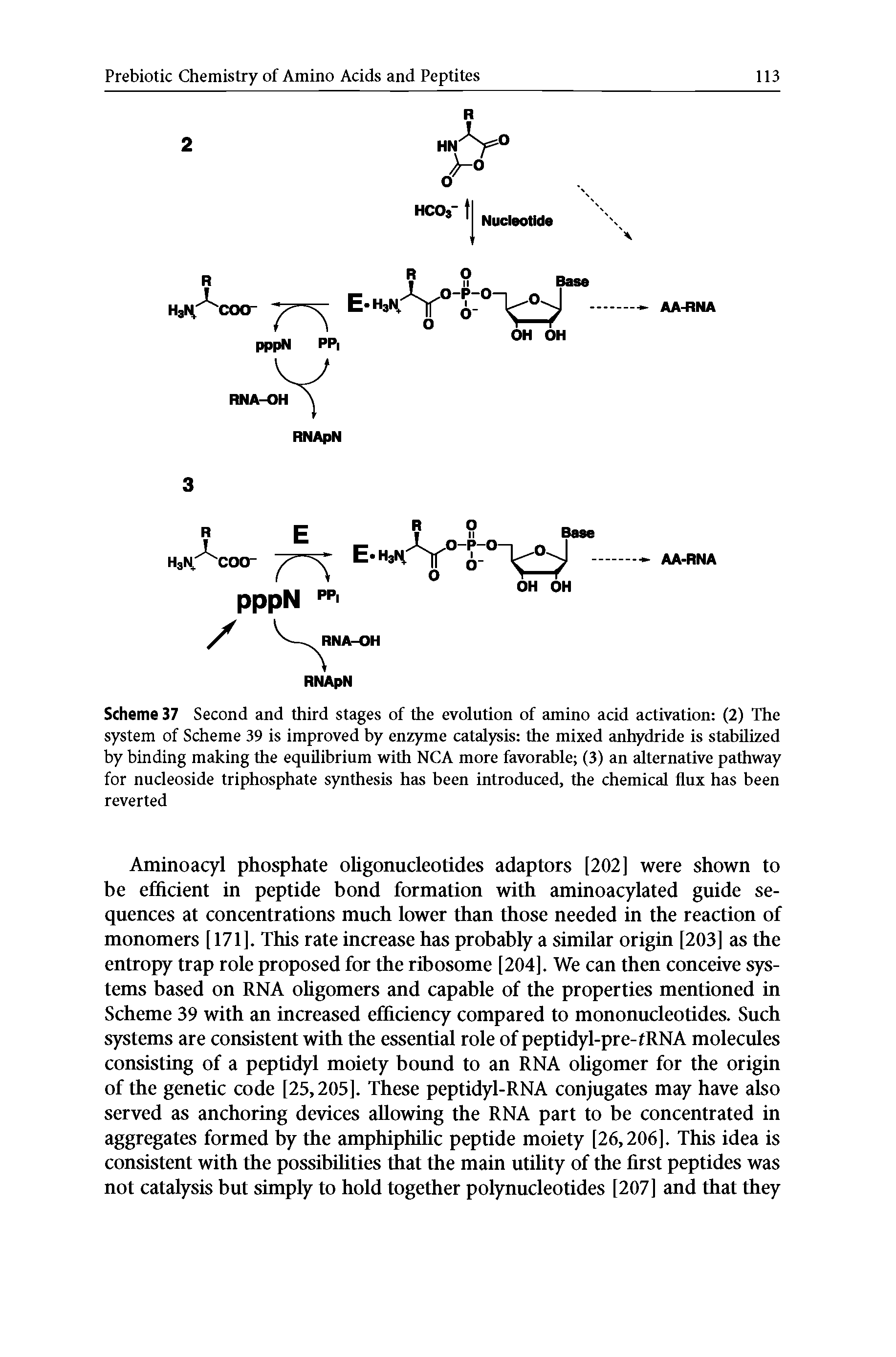 Scheme 37 Second and third stages of the evolution of amino acid activation (2) The system of Scheme 39 is improved by enzyme catalysis the mixed anhydride is stabilized by binding making the equilibrium with NCA more favorable (3) an alternative pathway for nucleoside triphosphate synthesis has been introduced, the chemical flux has been reverted...