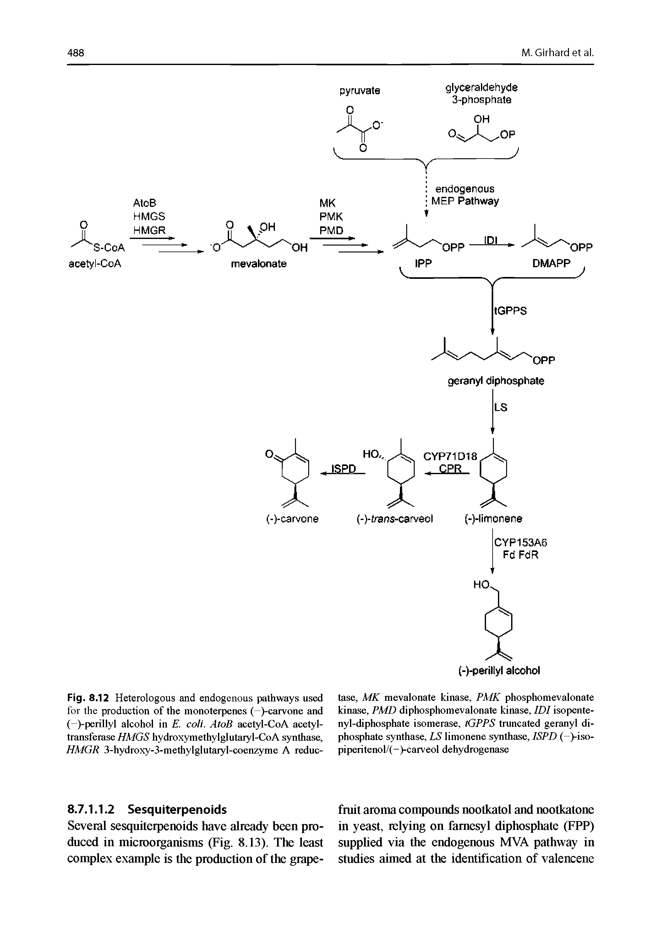 Fig. 8.12 Heterologous and endogenous pathways used for the produetion of the monoterpenes (-)-carvone and ( )-perillyl alcohol in E. coli. AtoB acetyl-CoA acetyl-transfeiasehydroxymethylglutaiyl-CoA synthase, HMGR 3-hydroxy-3-methylglutaryl-coenzyme A reduc-...